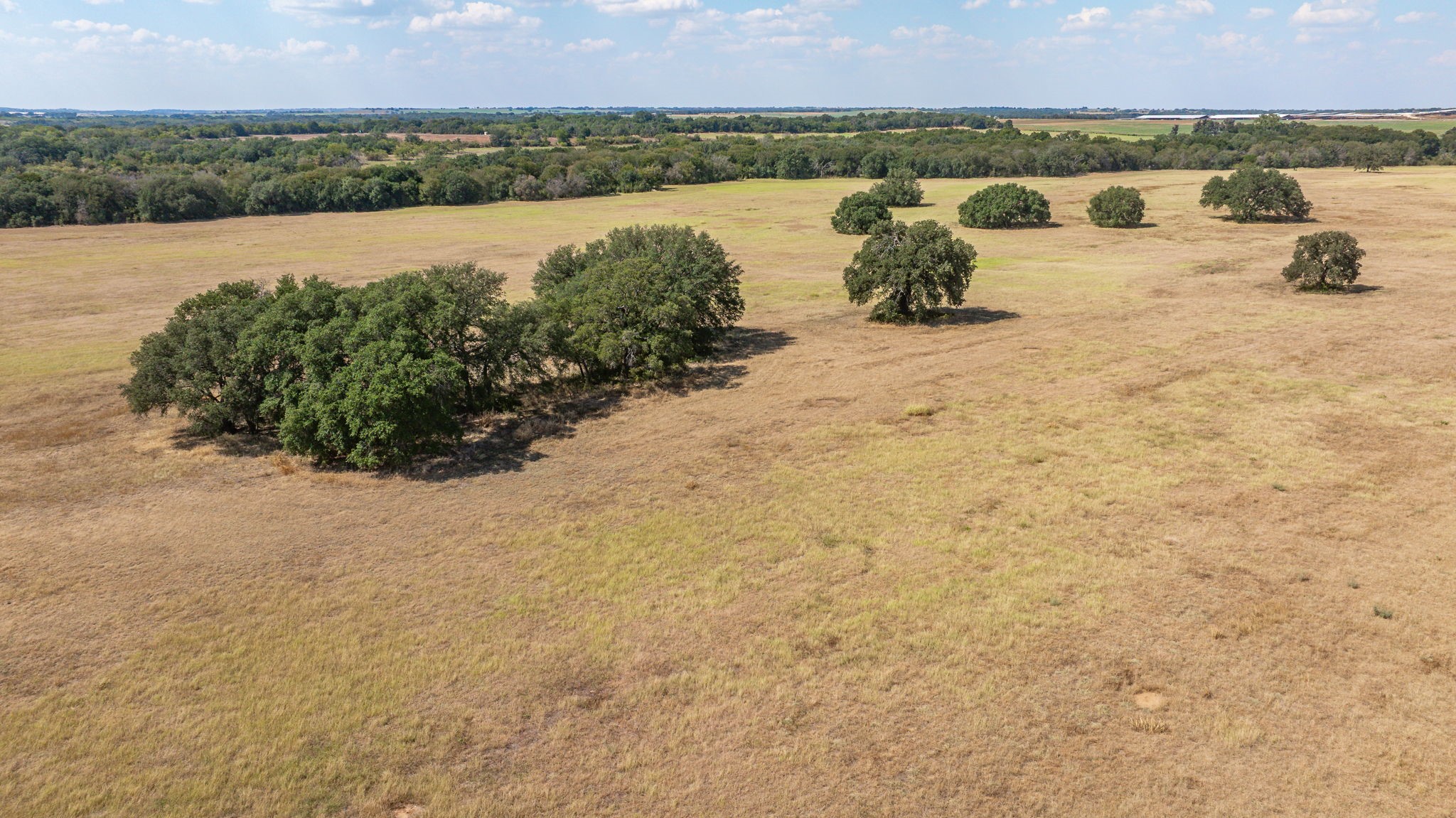 3066 County Road 285 Dublin TX 76446