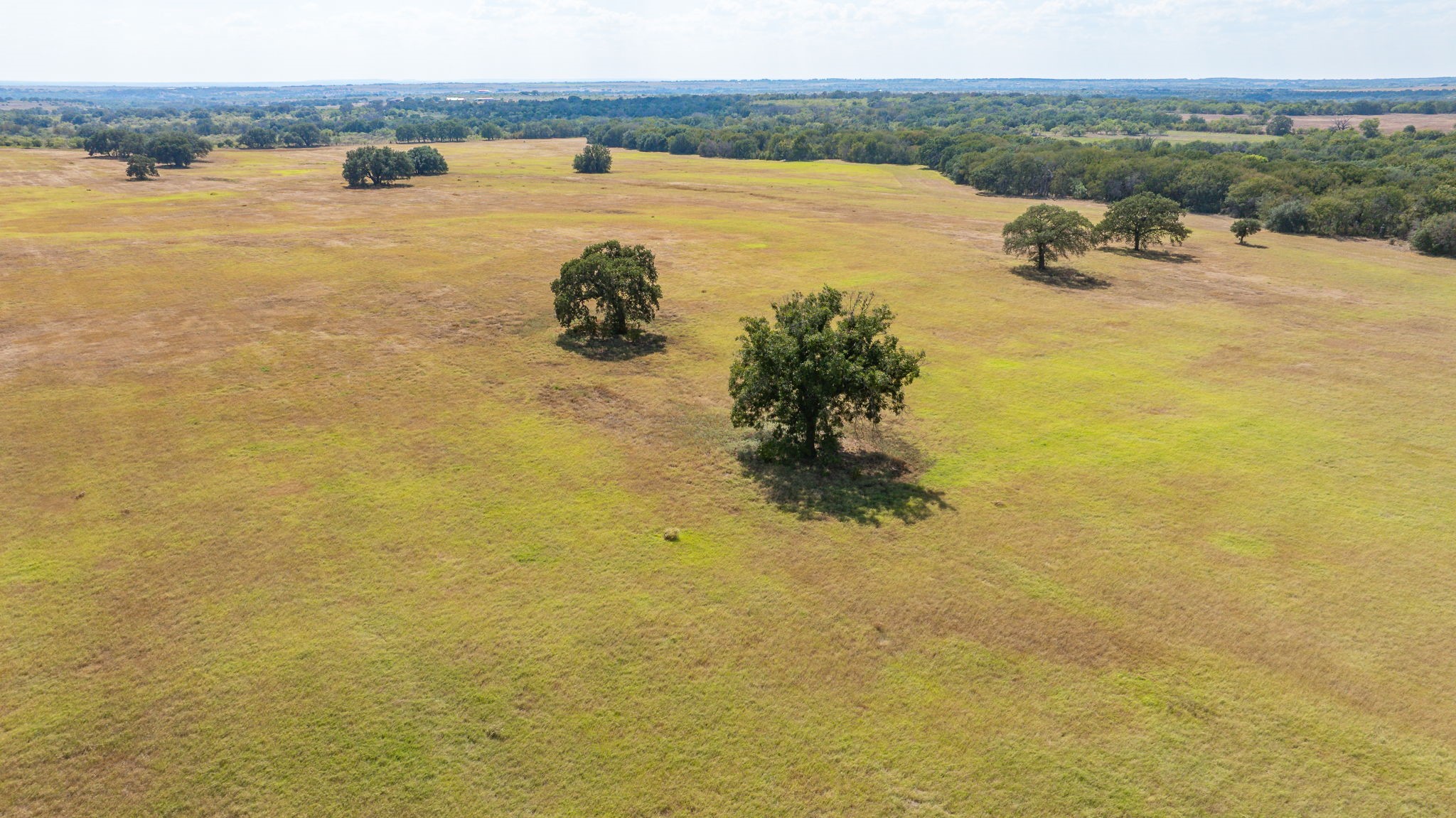 3066 County Road 285 Dublin TX 76446