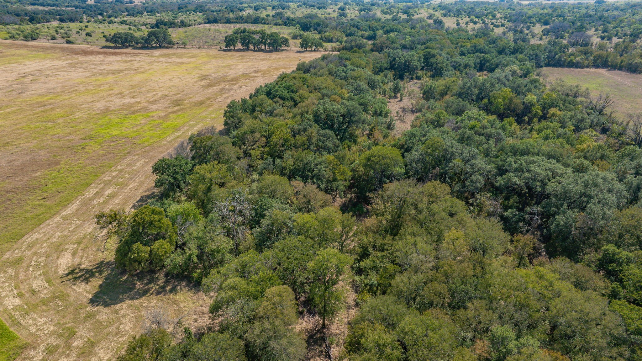 3066 County Road 285 Dublin TX 76446