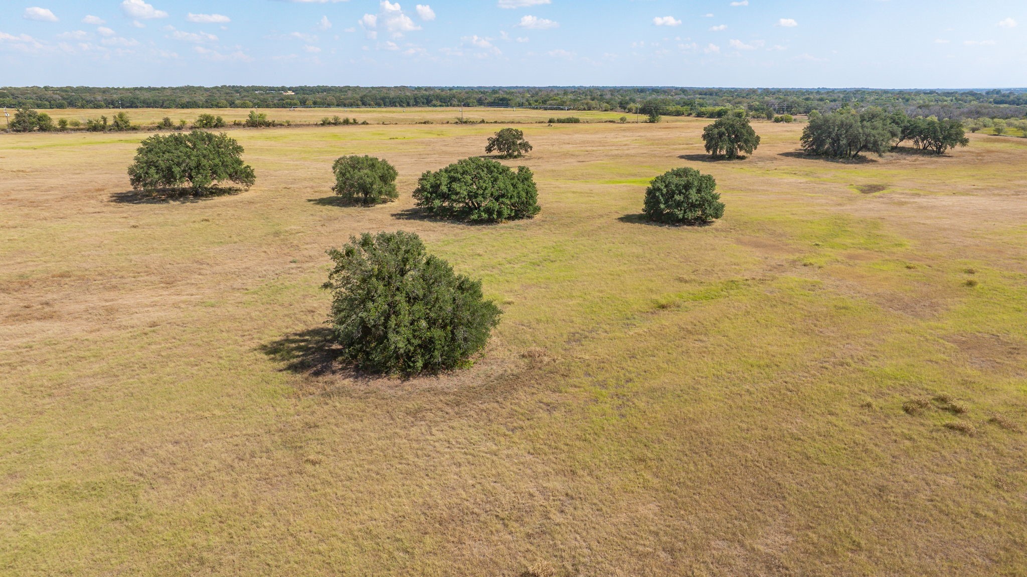 3066 County Road 285 Dublin TX 76446