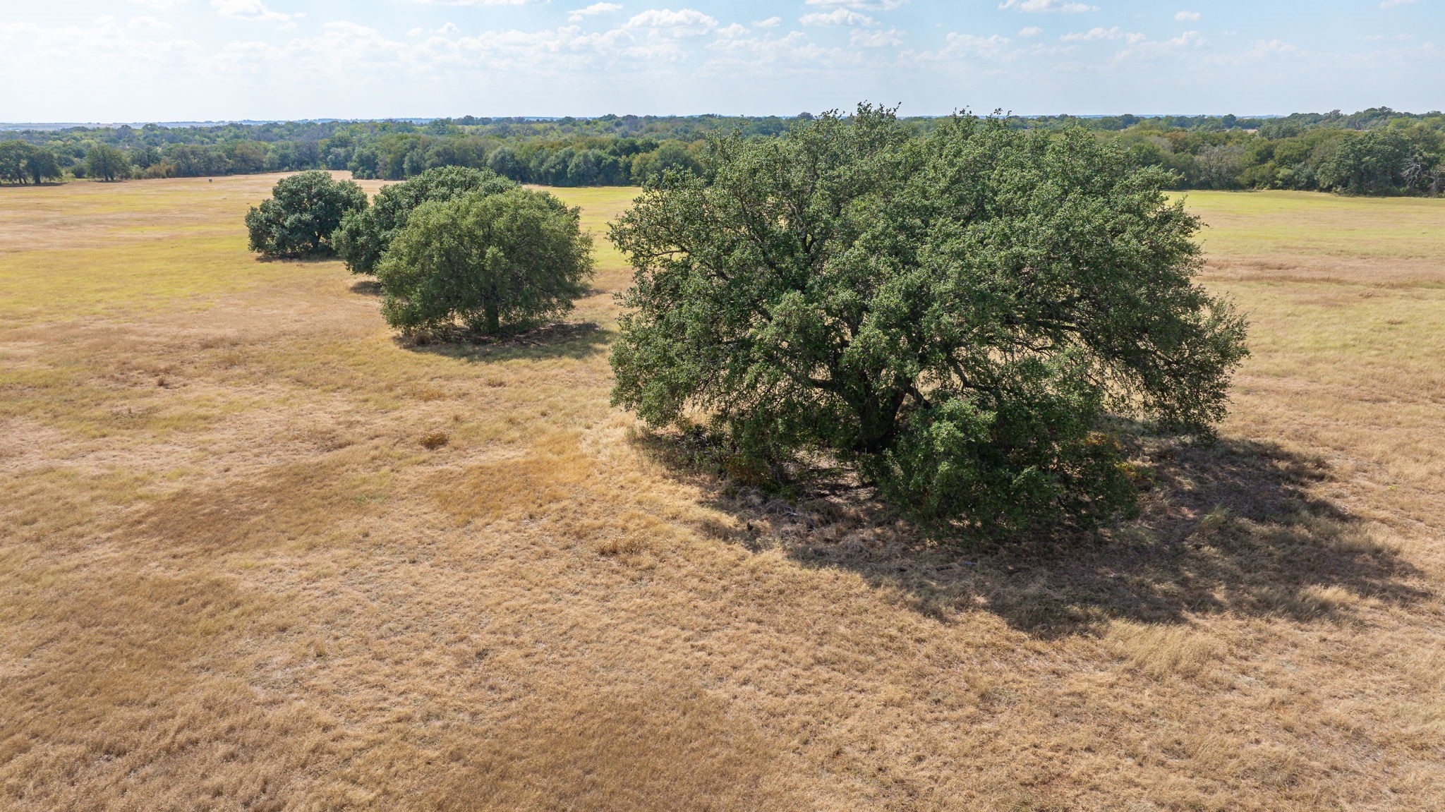 3066 County Road 285 Dublin TX 76446