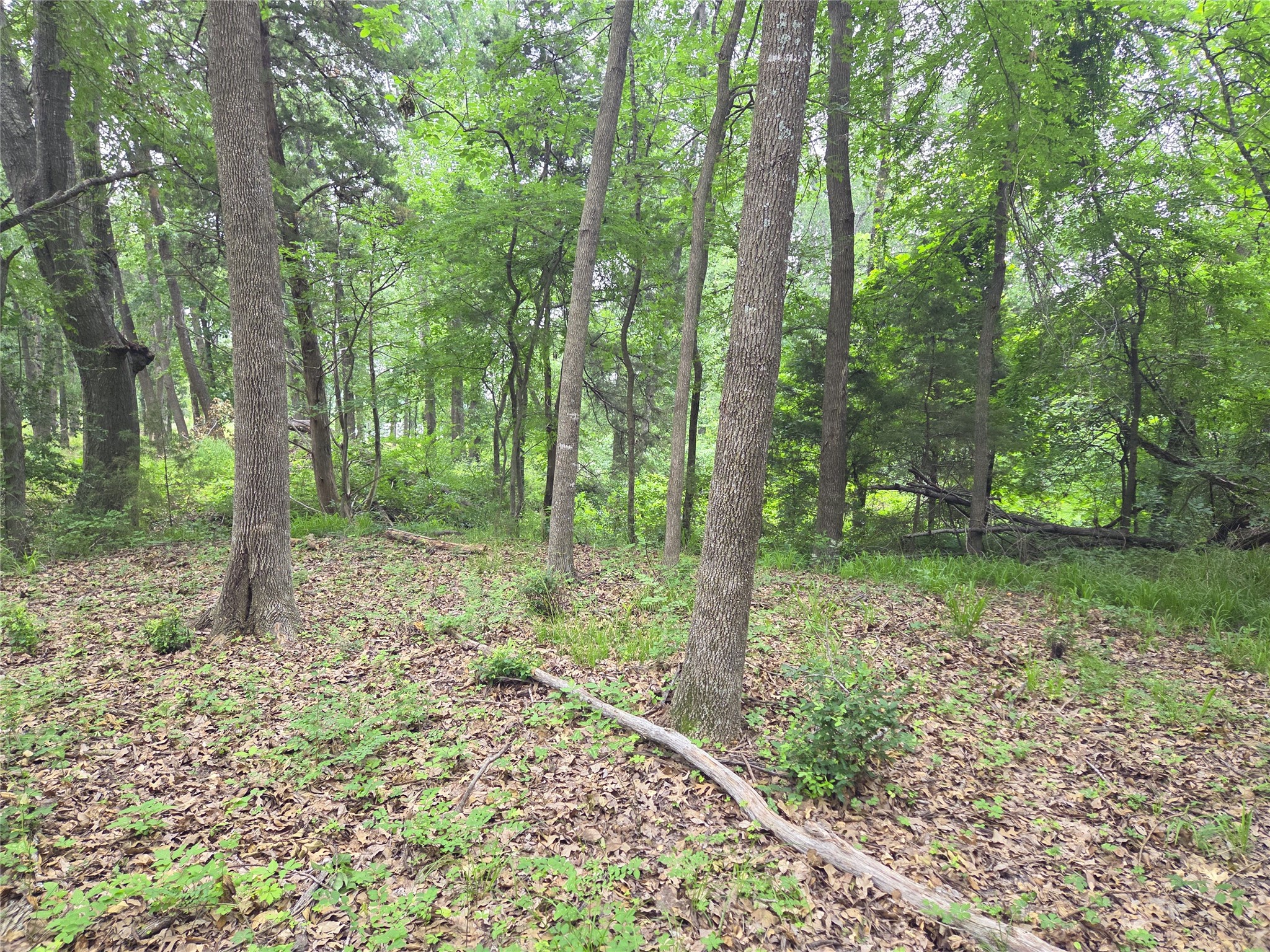 Lot 618 Spur 294 Corsicana TX 75109