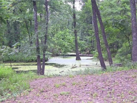 Lot 618 Spur 294 Corsicana TX 75109