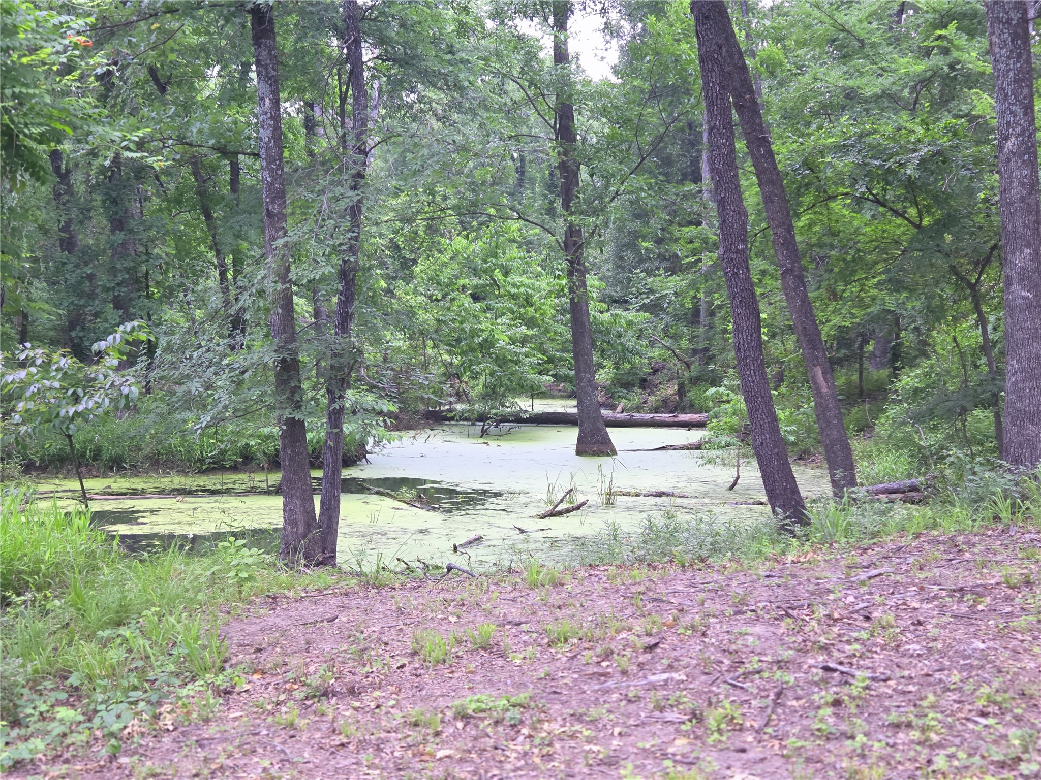 Lot 618 Spur 294 Corsicana TX 75109