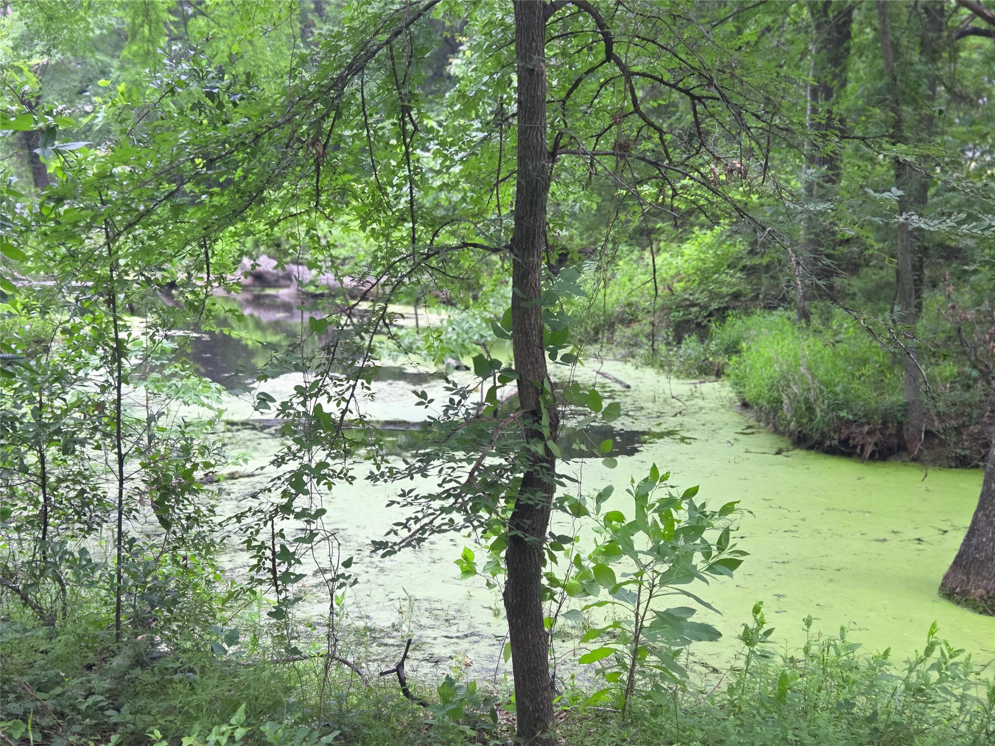 Lot 618 Spur 294 Corsicana TX 75109