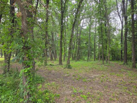 Lot 618 Spur 294 Corsicana TX 75109