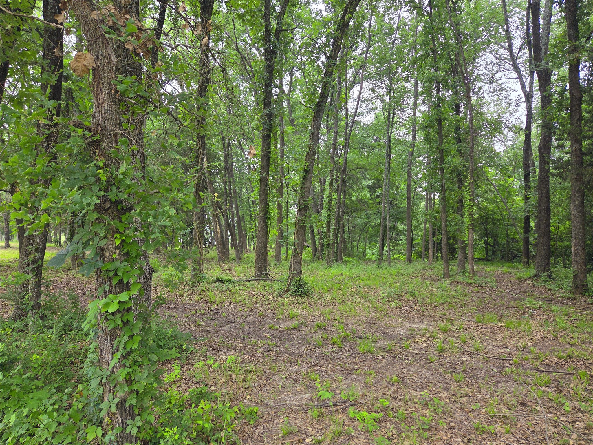 Lot 618 Spur 294 Corsicana TX 75109