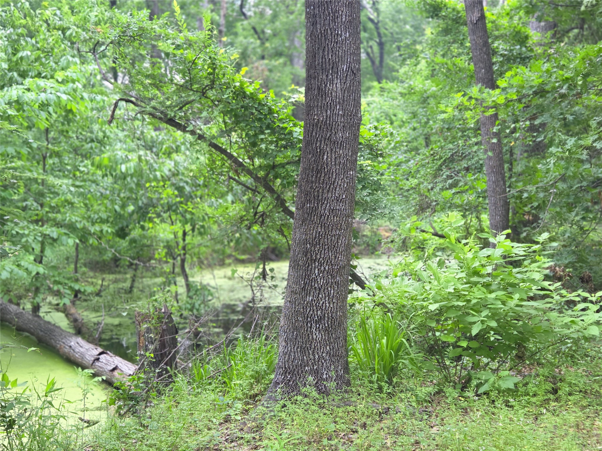 Lot 618 Spur 294 Corsicana TX 75109
