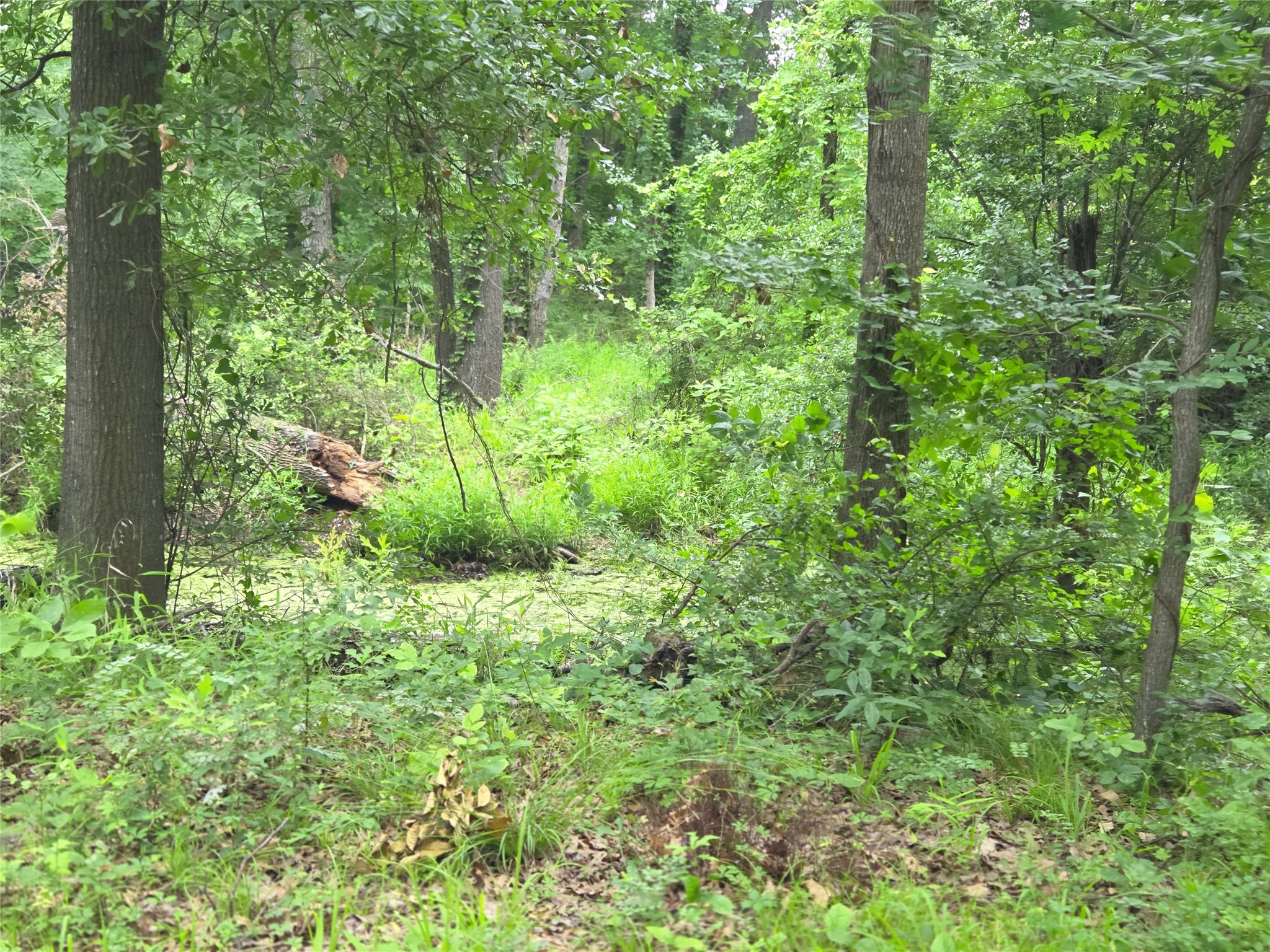Lot 618 Spur 294 Corsicana TX 75109