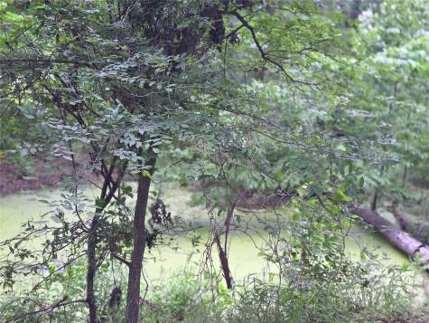 Lot 618 Spur 294 Corsicana TX 75109