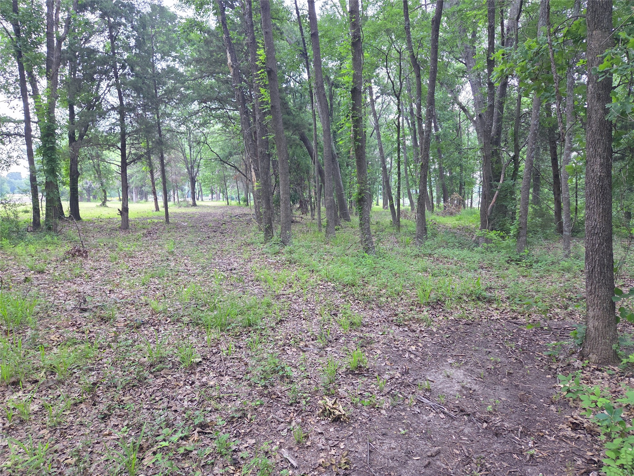 Lot 618 Spur 294 Corsicana TX 75109
