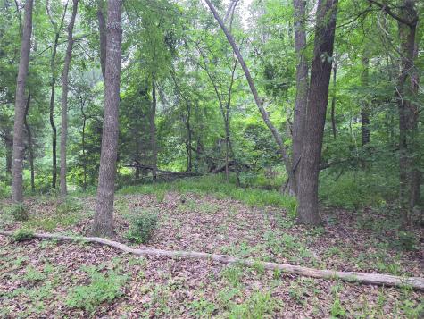 Lot 618 Spur 294 Corsicana TX 75109
