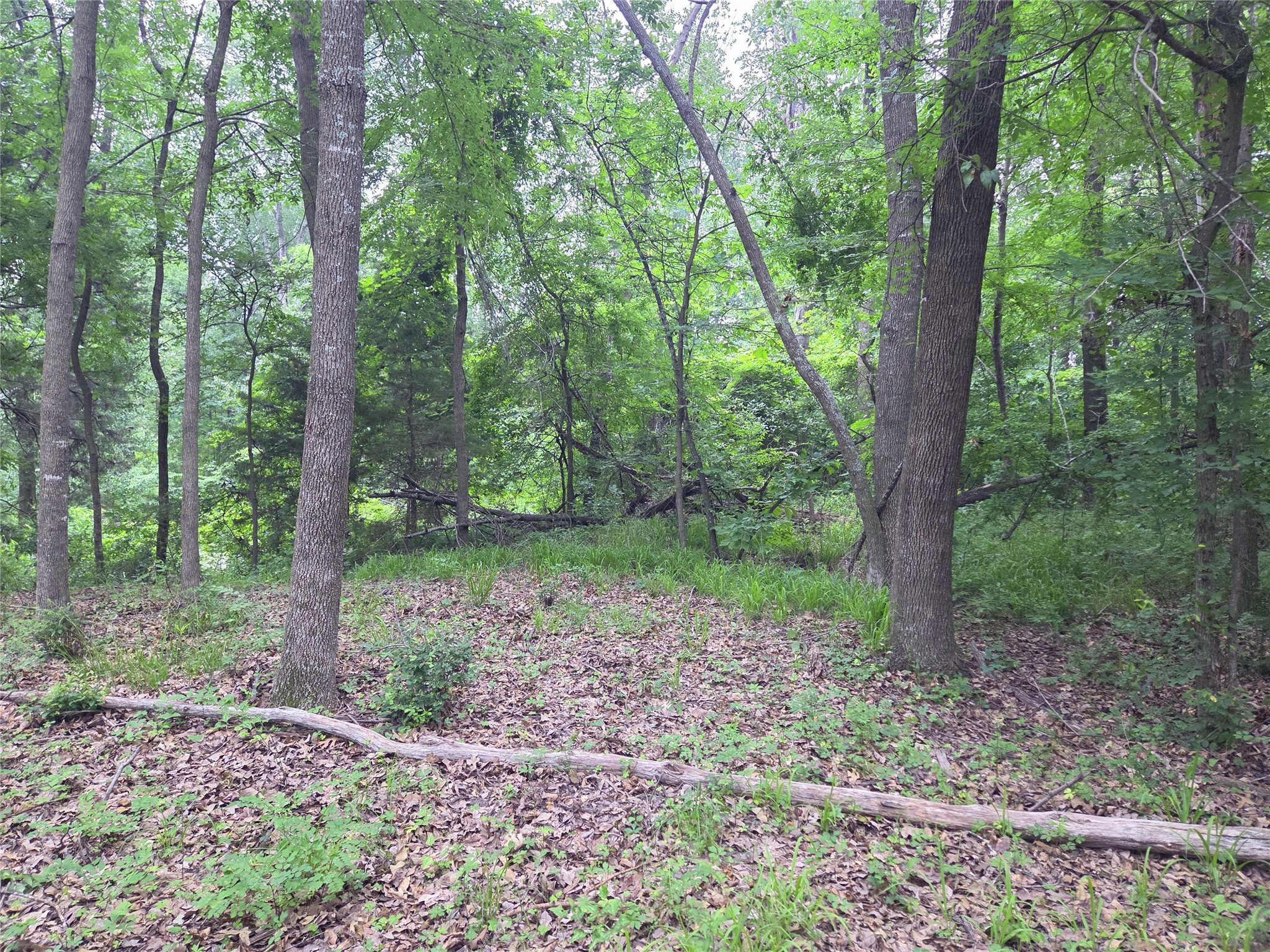 Lot 618 Spur 294 Corsicana TX 75109