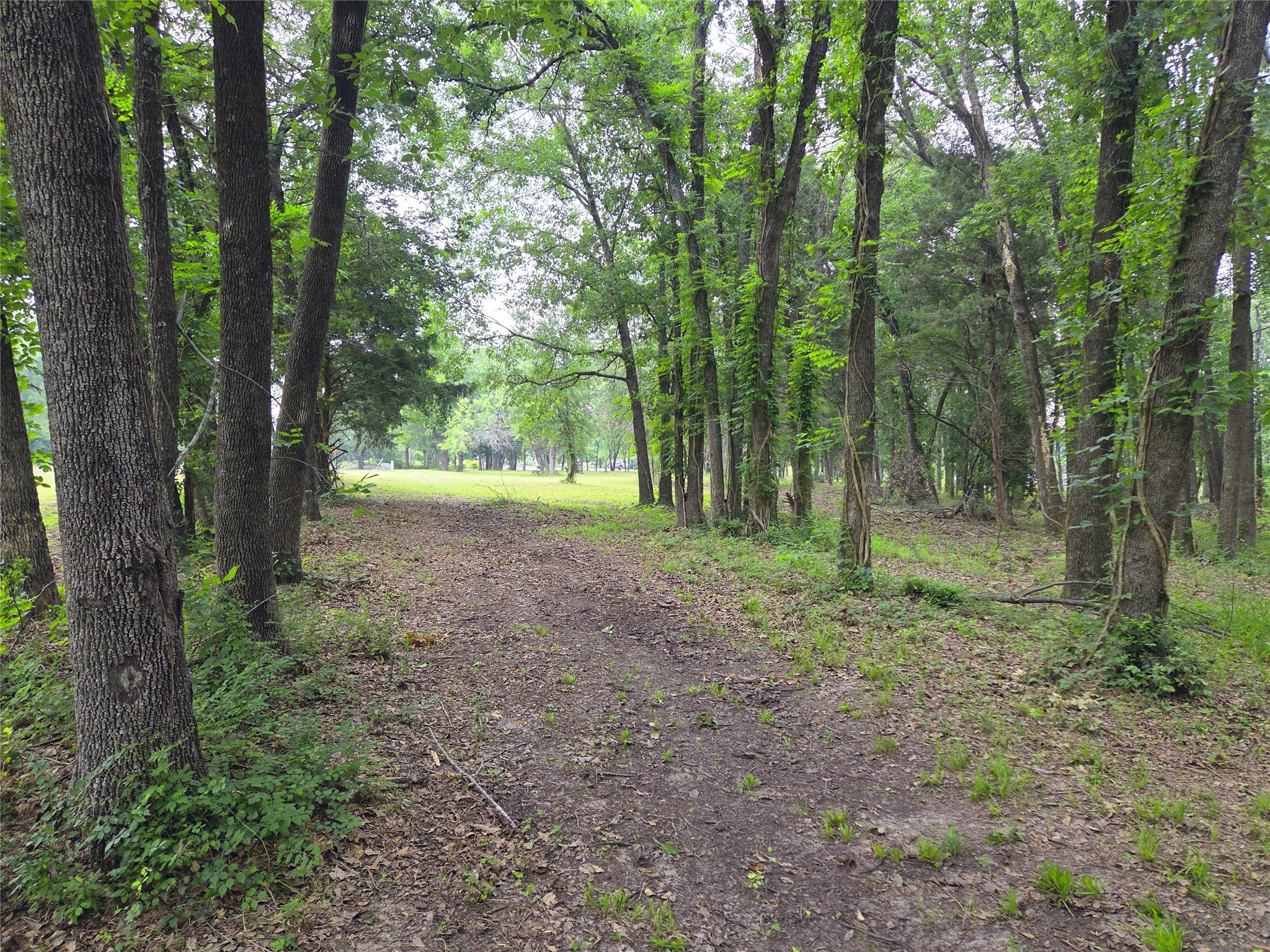 Lot 618 Spur 294 Corsicana TX 75109