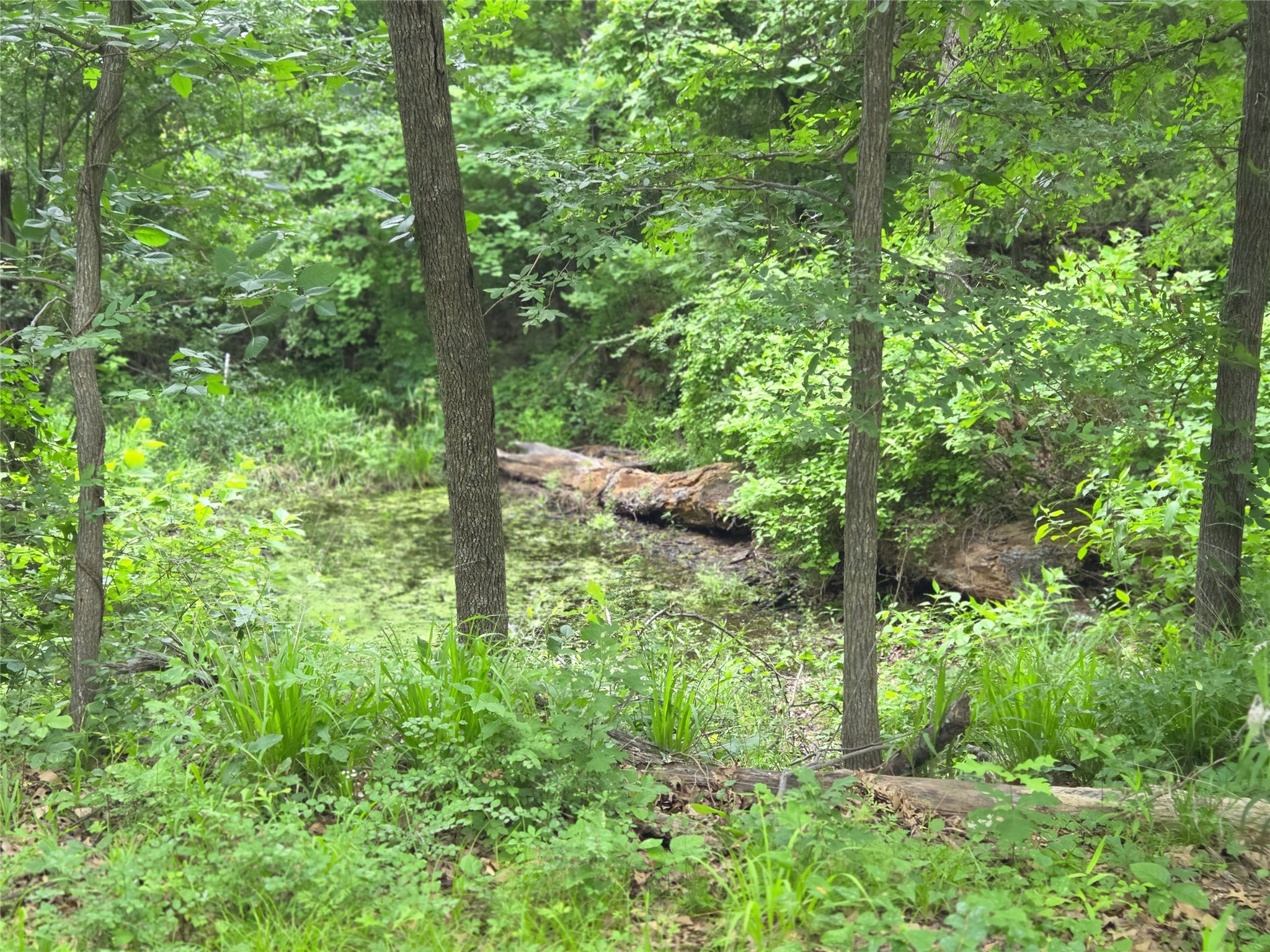 Lot 618 Spur 294 Corsicana TX 75109