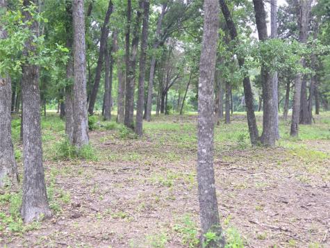 Lot 618 Spur 294 Corsicana TX 75109