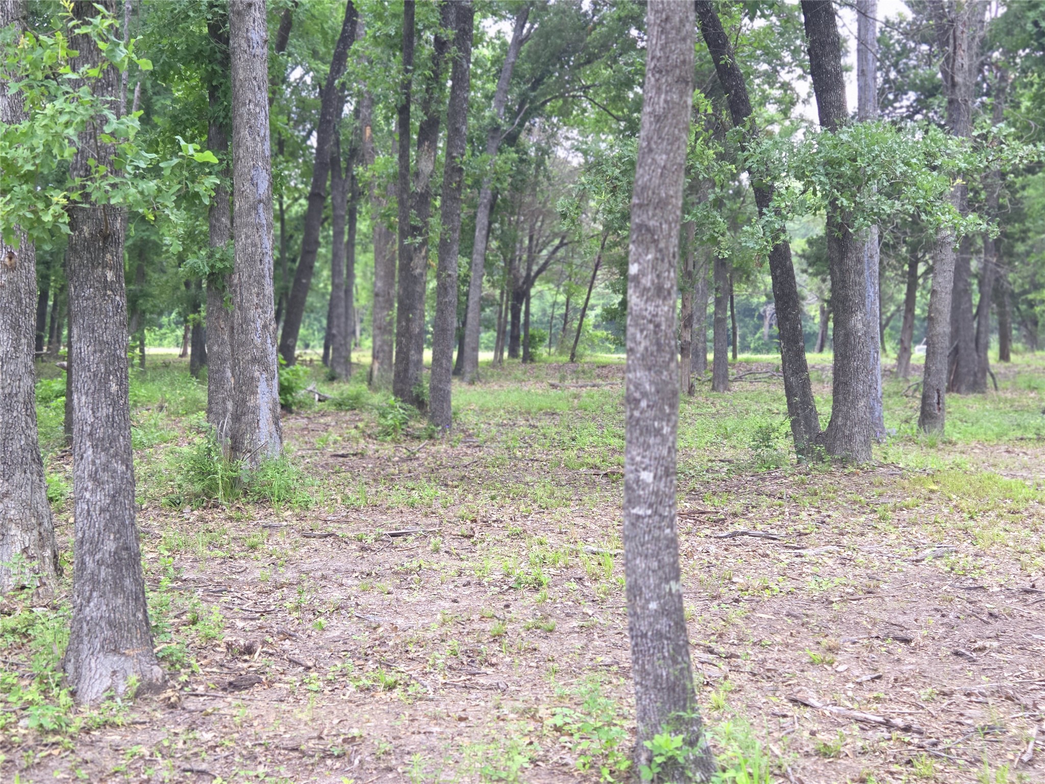 Lot 618 Spur 294 Corsicana TX 75109