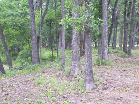 Lot 618 Spur 294 Corsicana TX 75109
