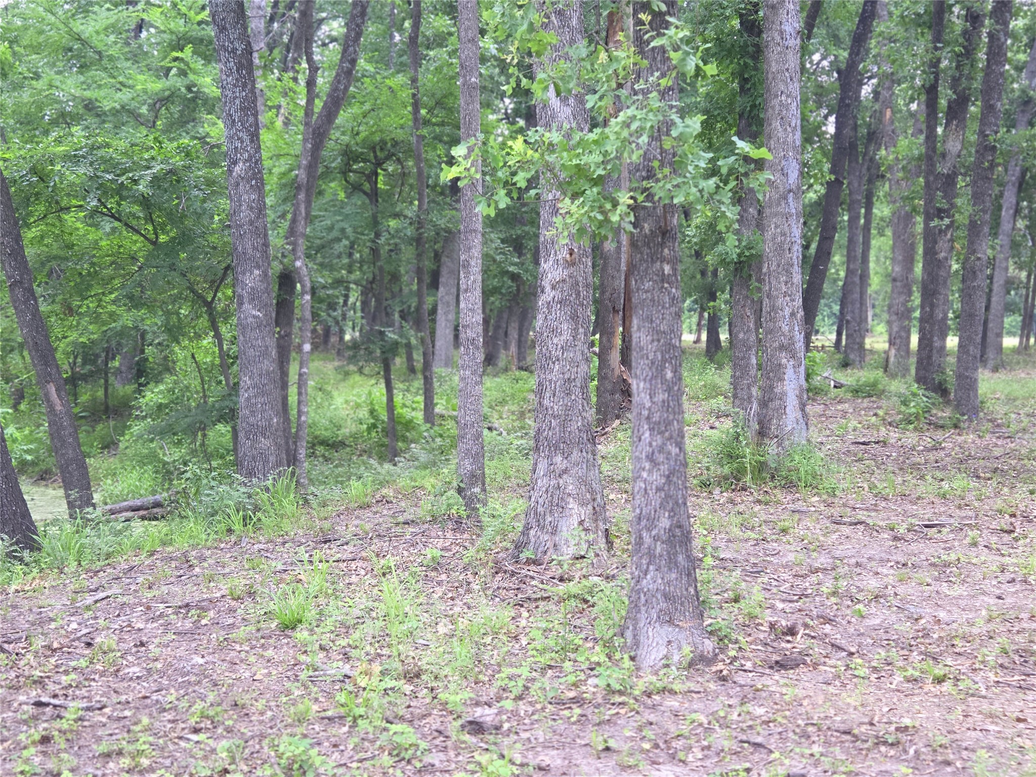 Lot 618 Spur 294 Corsicana TX 75109