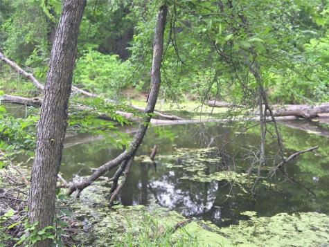 Lot 618 Spur 294 Corsicana TX 75109