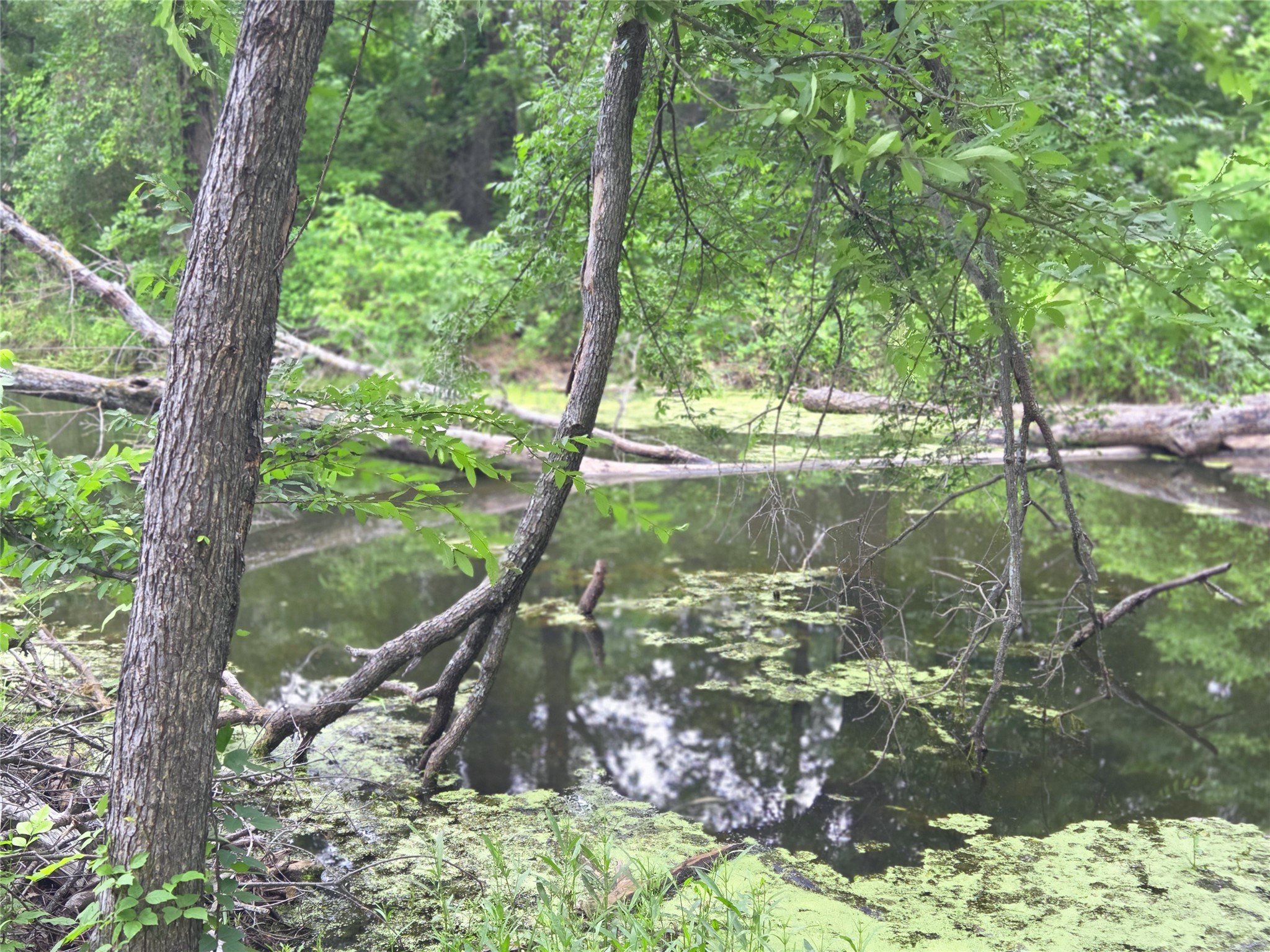 Lot 618 Spur 294 Corsicana TX 75109