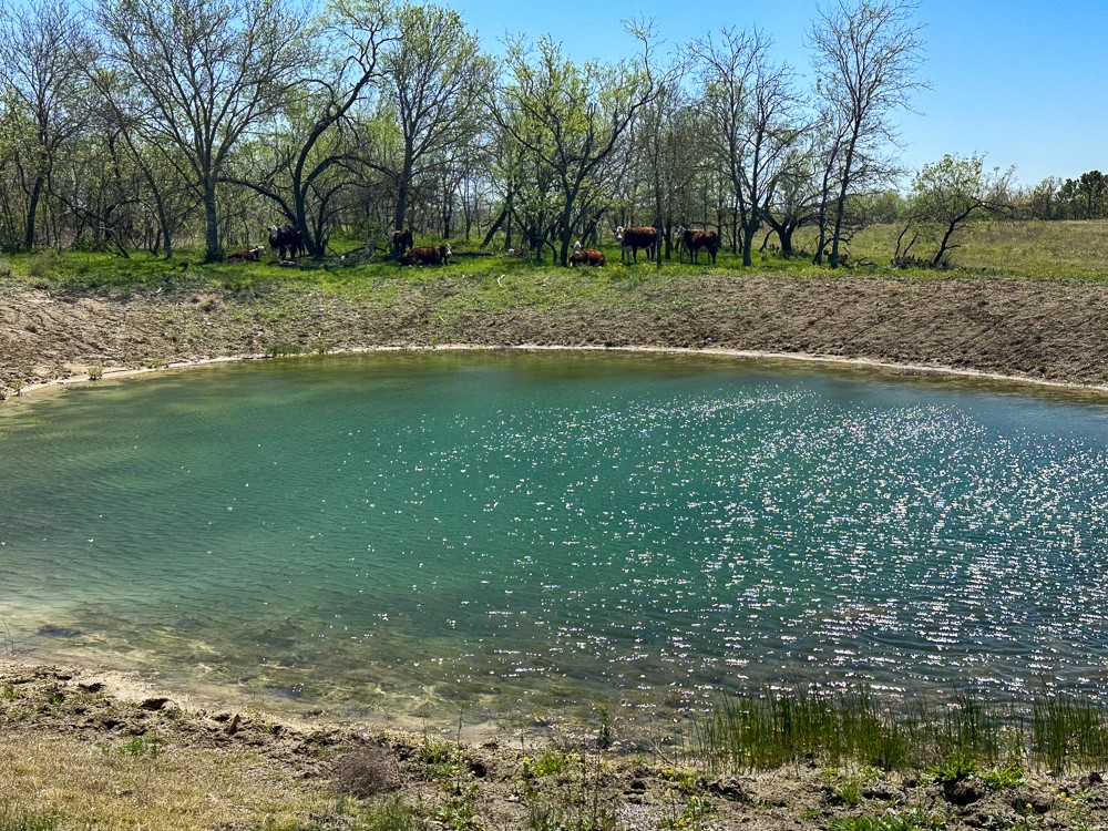 303 Lcr 626 Road Groesbeck TX 76642