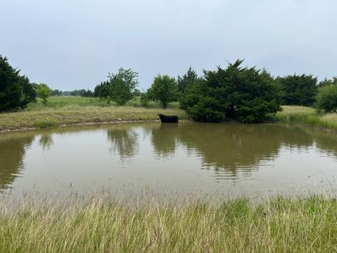 5250 County Road 304 Grandview TX 76050