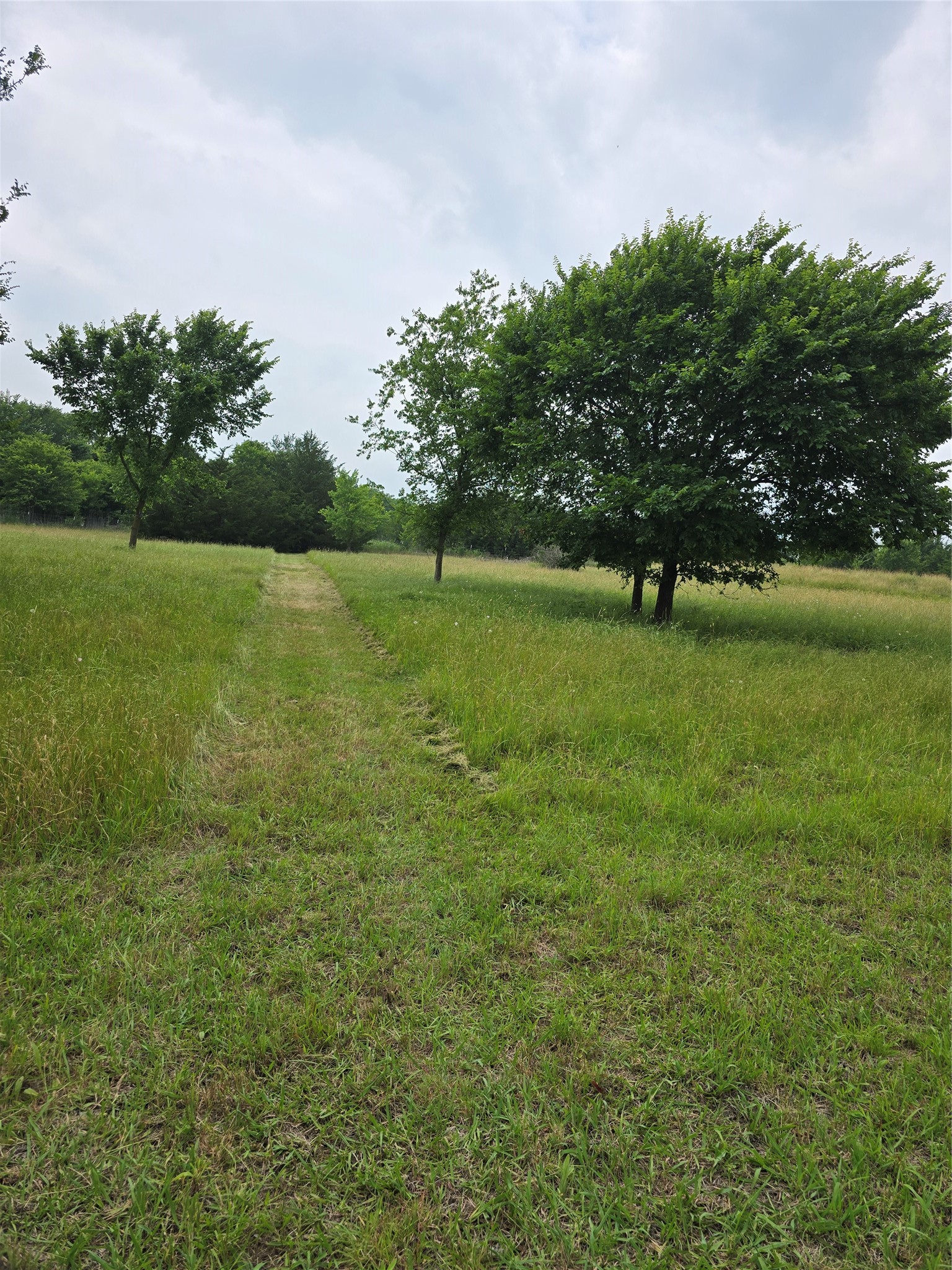 5250 County Road 304 Grandview TX 76050