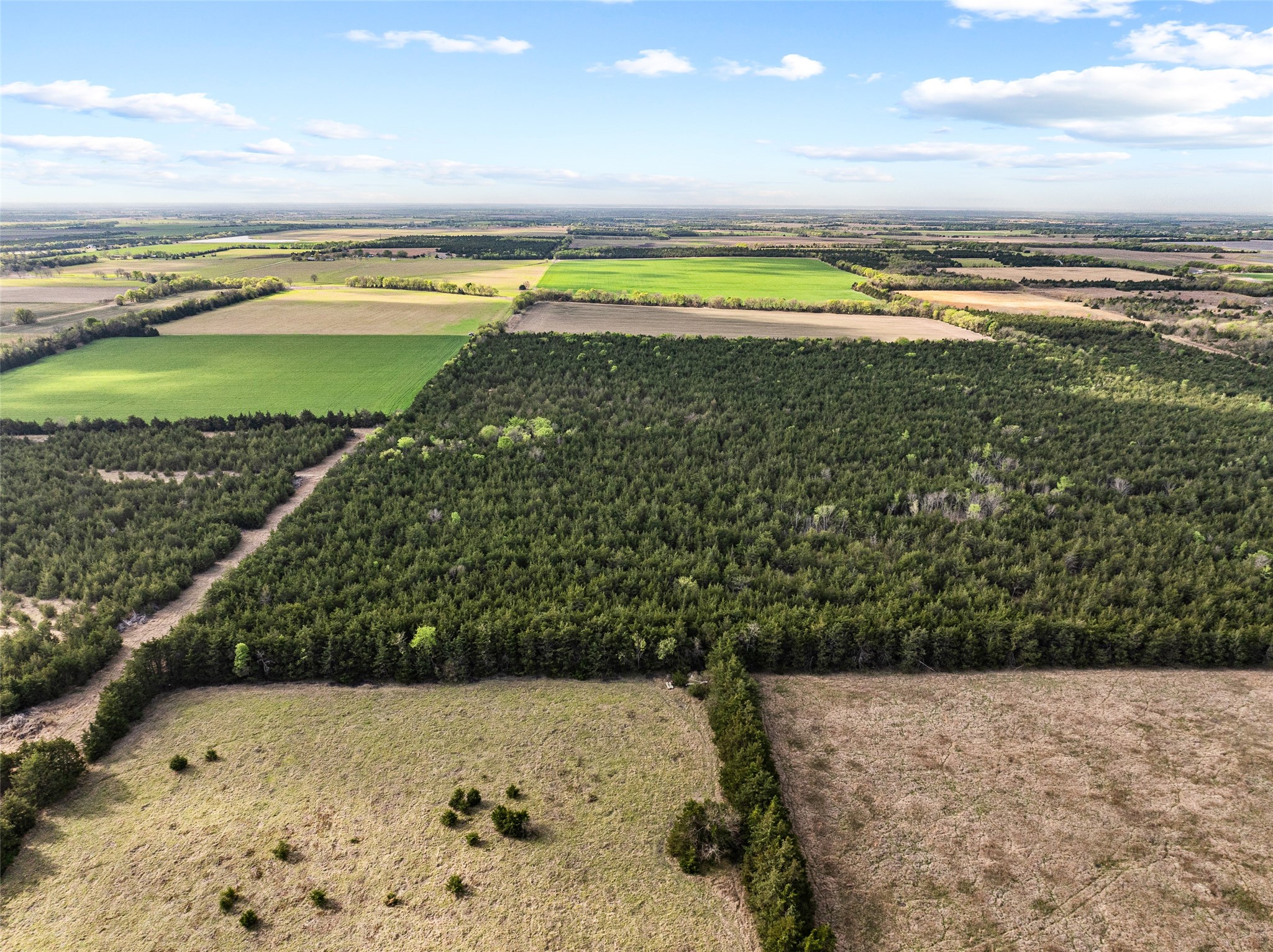 Tbd Fm 198 Cooper TX 75432