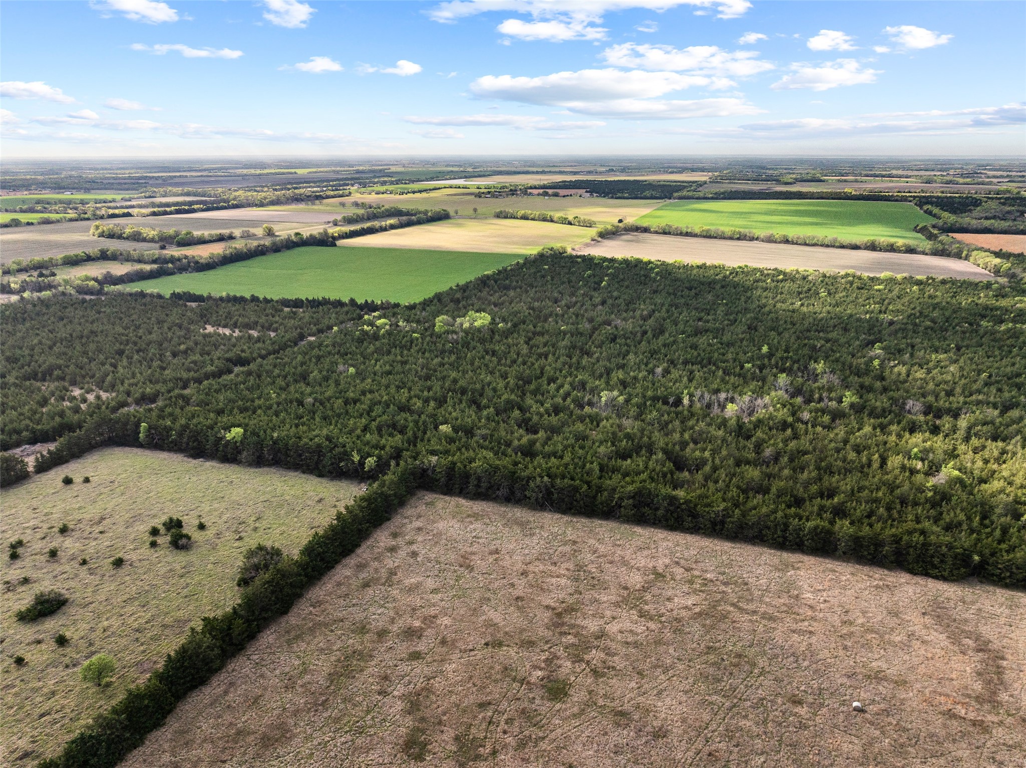 Tbd Fm 198 Cooper TX 75432