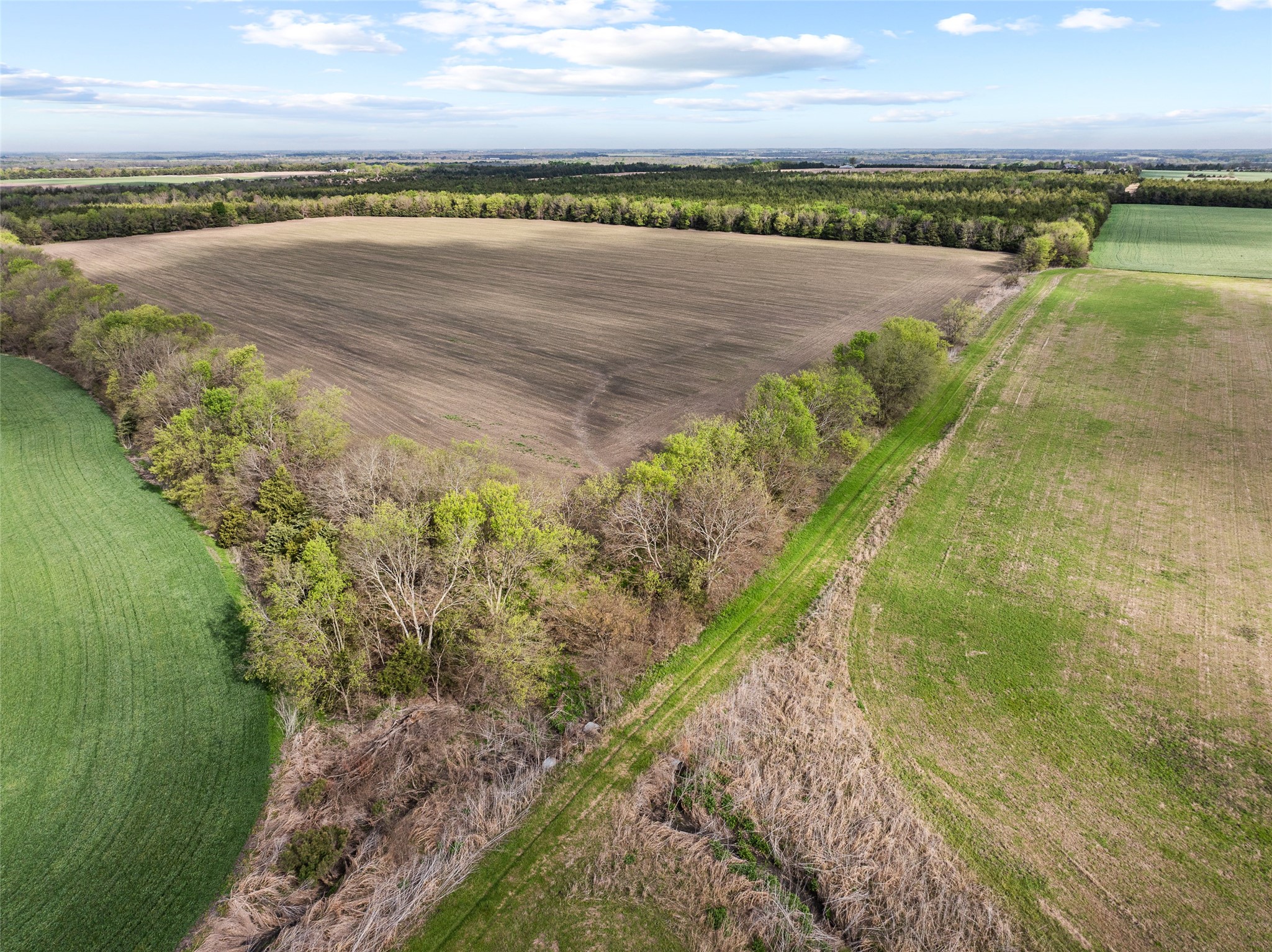 Tbd Fm 198 Cooper TX 75432