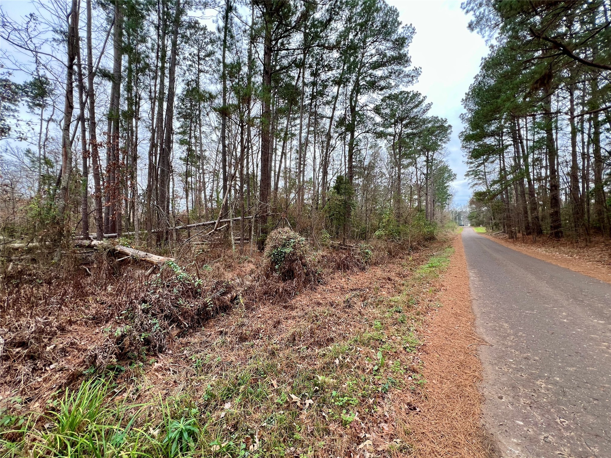 Tbd Reddick Road Ore City TX 75683