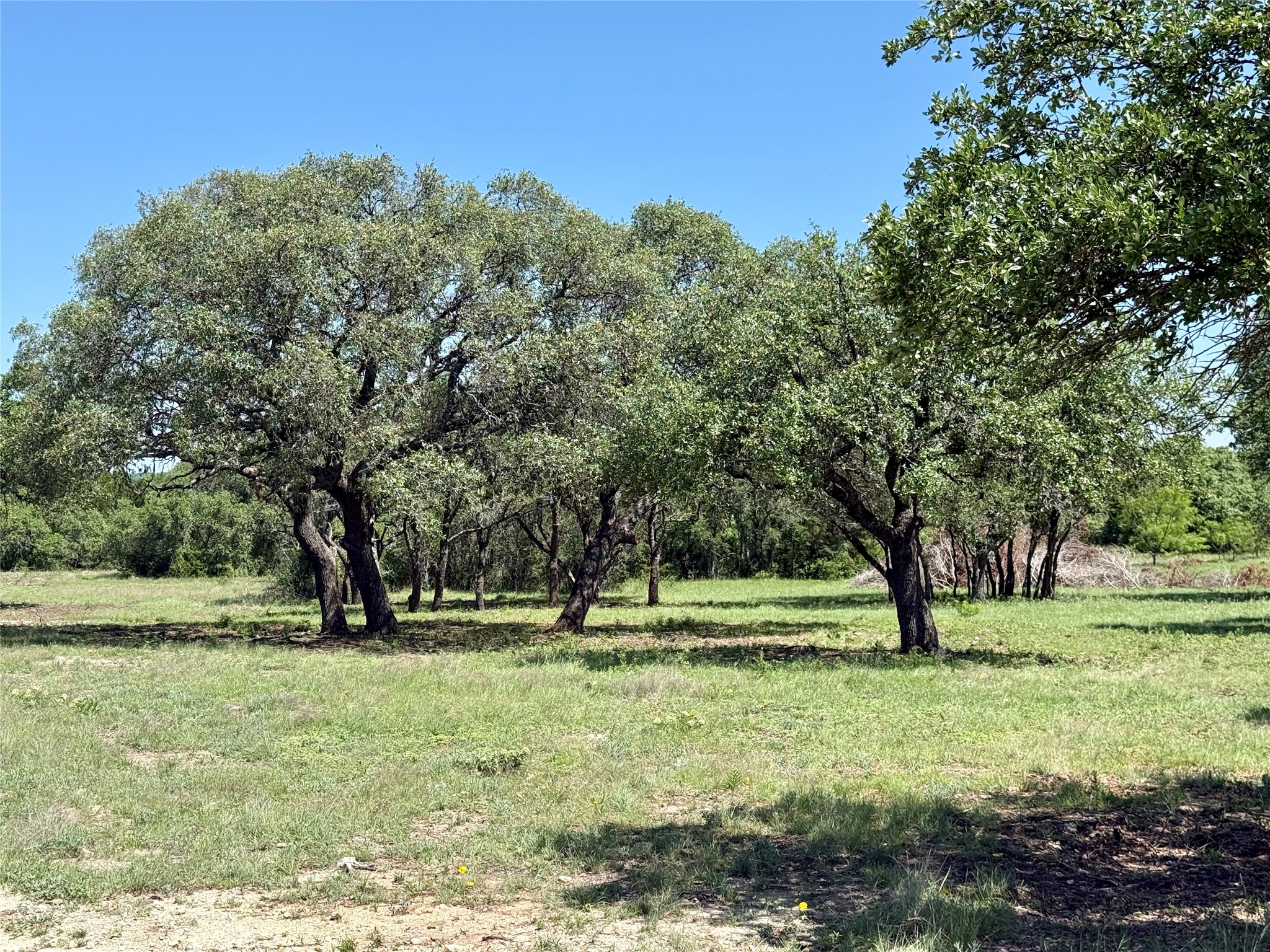 Tbd Highway 67-377 Blanket TX 76432