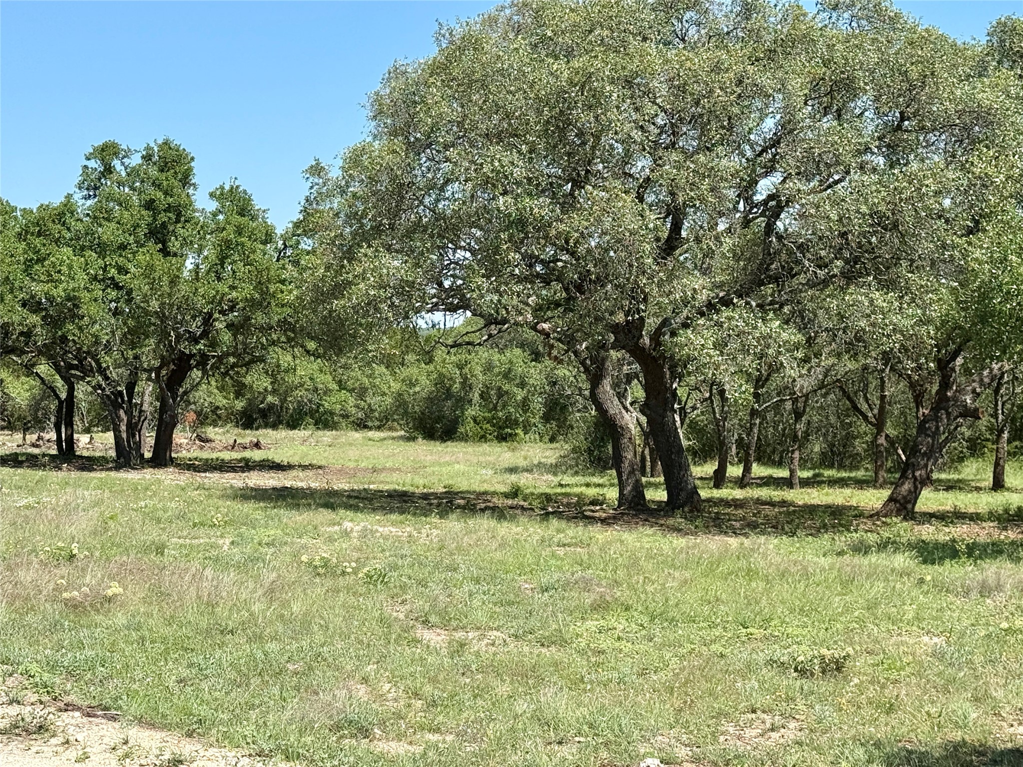 Tbd Highway 67-377 Blanket TX 76432