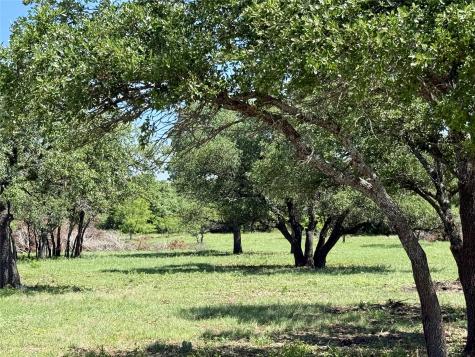 TBD Highway 67-377 Blanket TX 76432