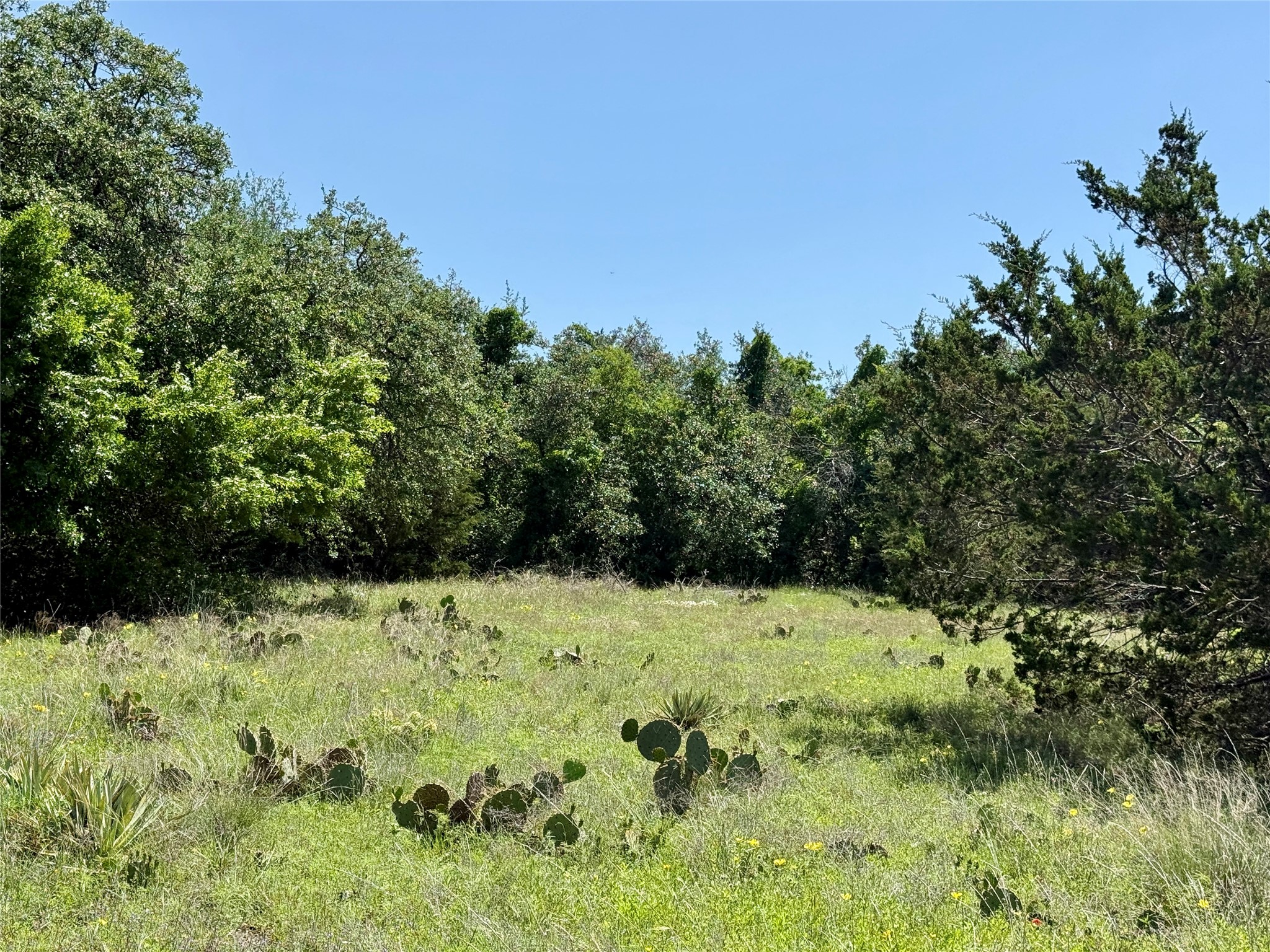 Tbd Highway 67-377 Blanket TX 76432