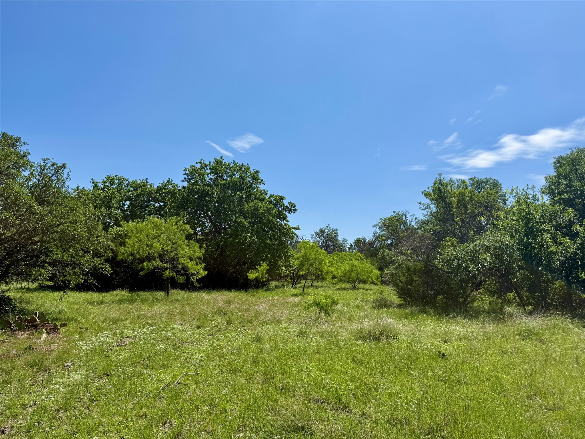 Tbd Highway 67-377 Blanket TX 76432