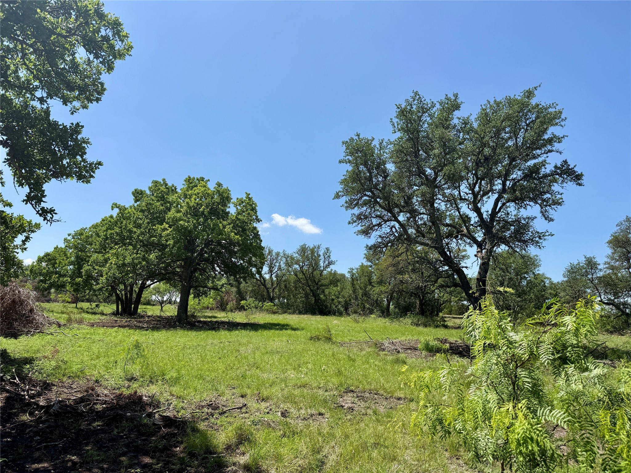Tbd Highway 67-377 Blanket TX 76432