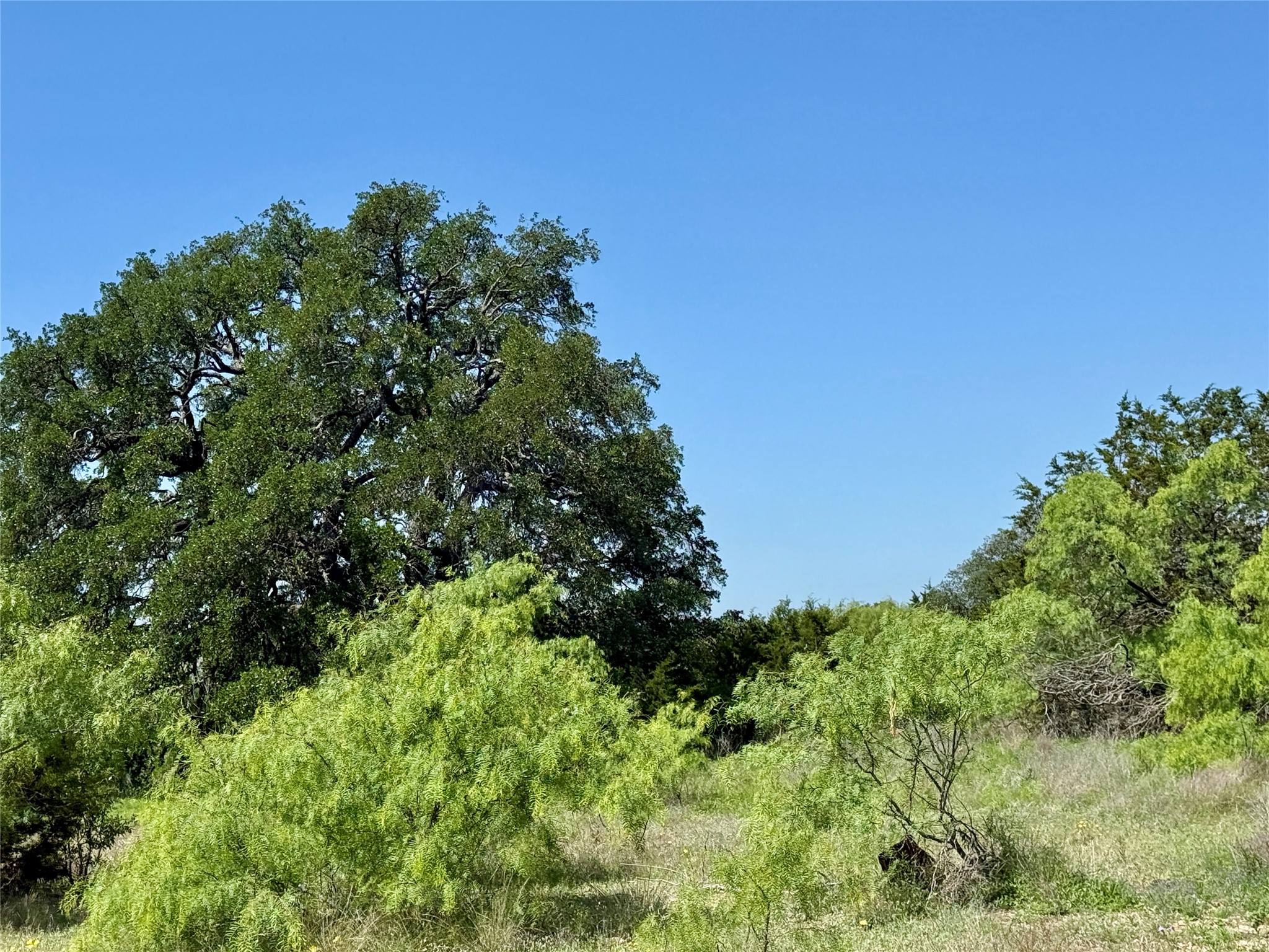 Tbd Highway 67-377 Blanket TX 76432