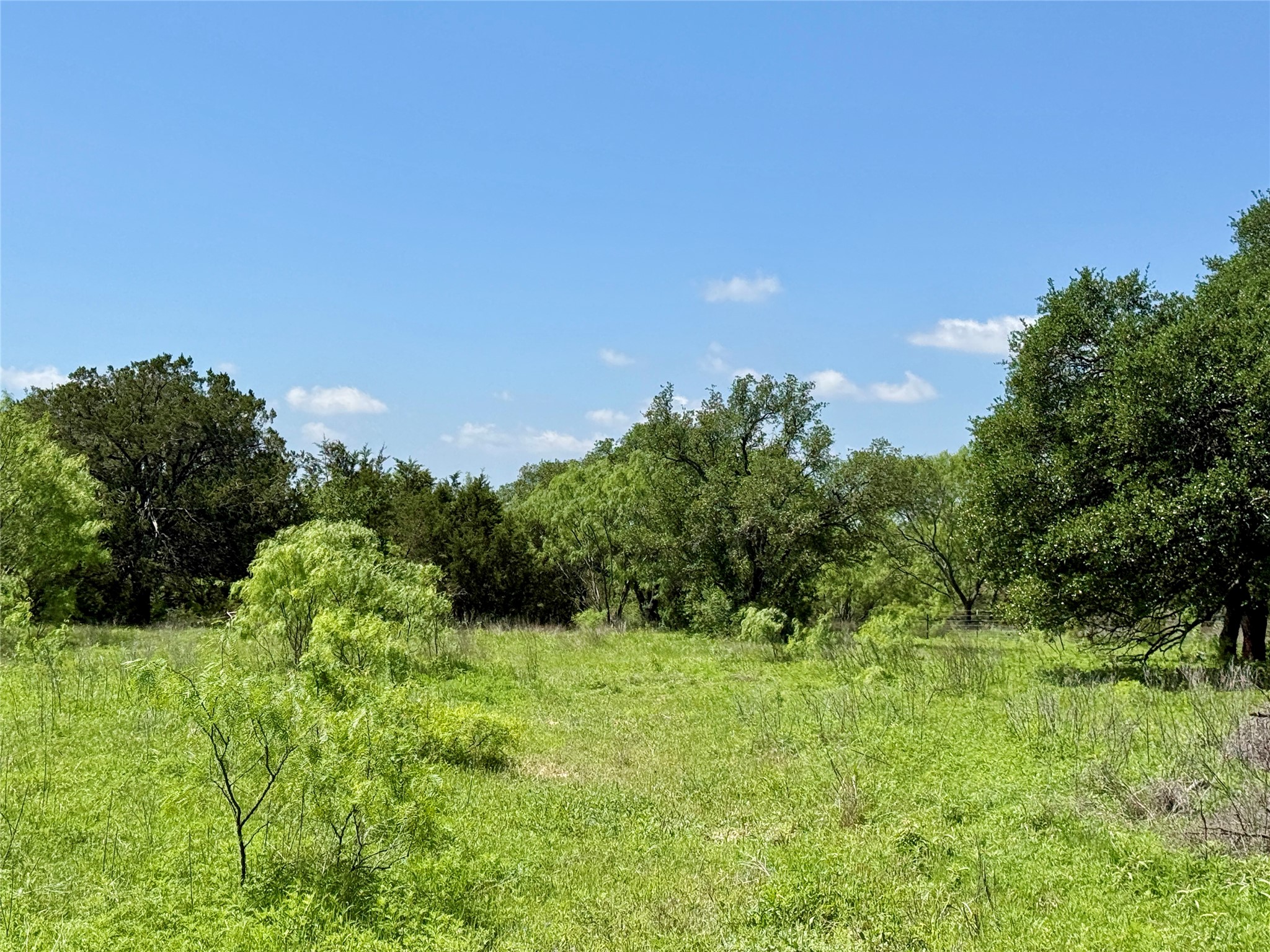 Tbd Highway 67-377 Blanket TX 76432