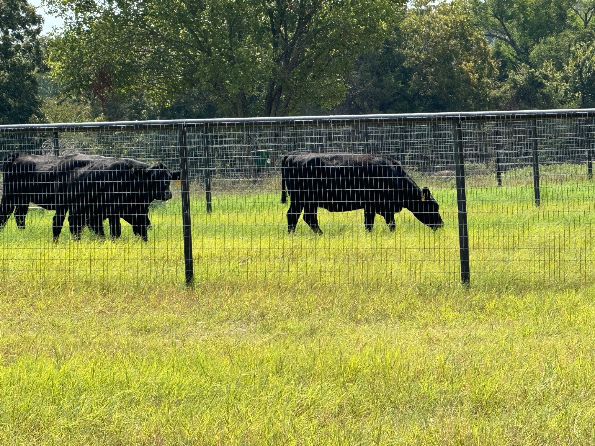 8690 E Fm 922 Valley View TX 76272