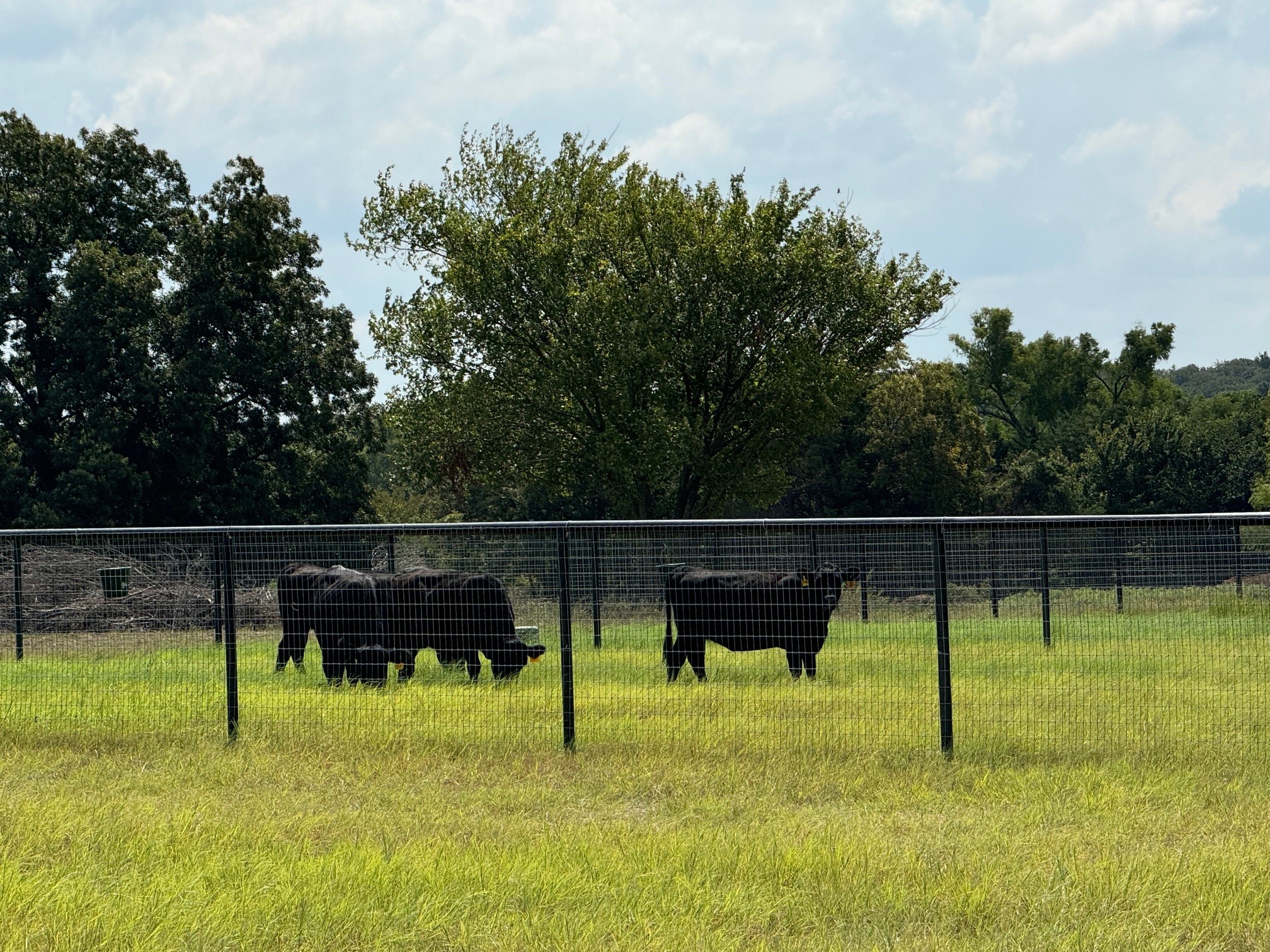8690 E Fm 922 Valley View TX 76272