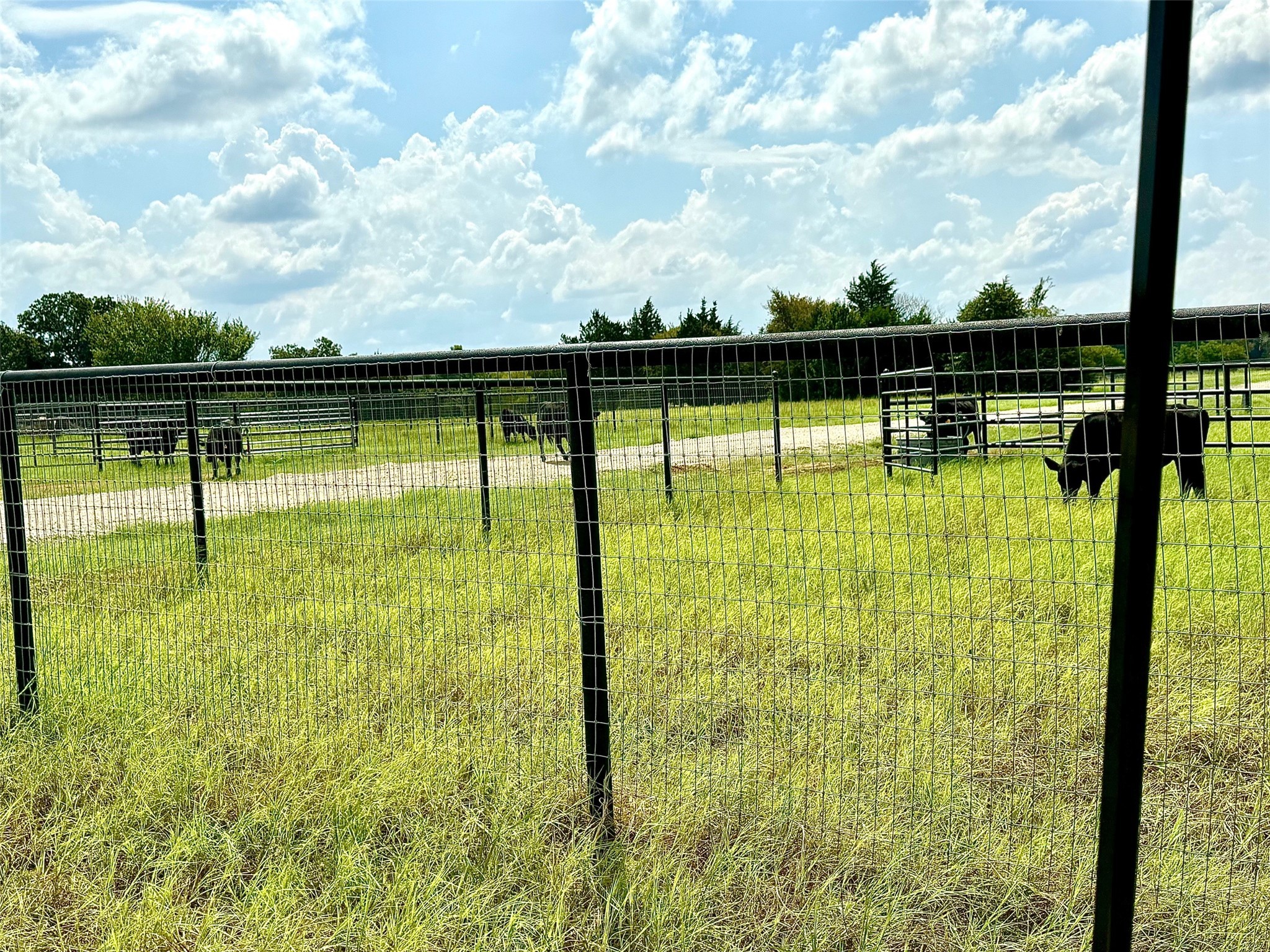8690 E Fm 922 Valley View TX 76272