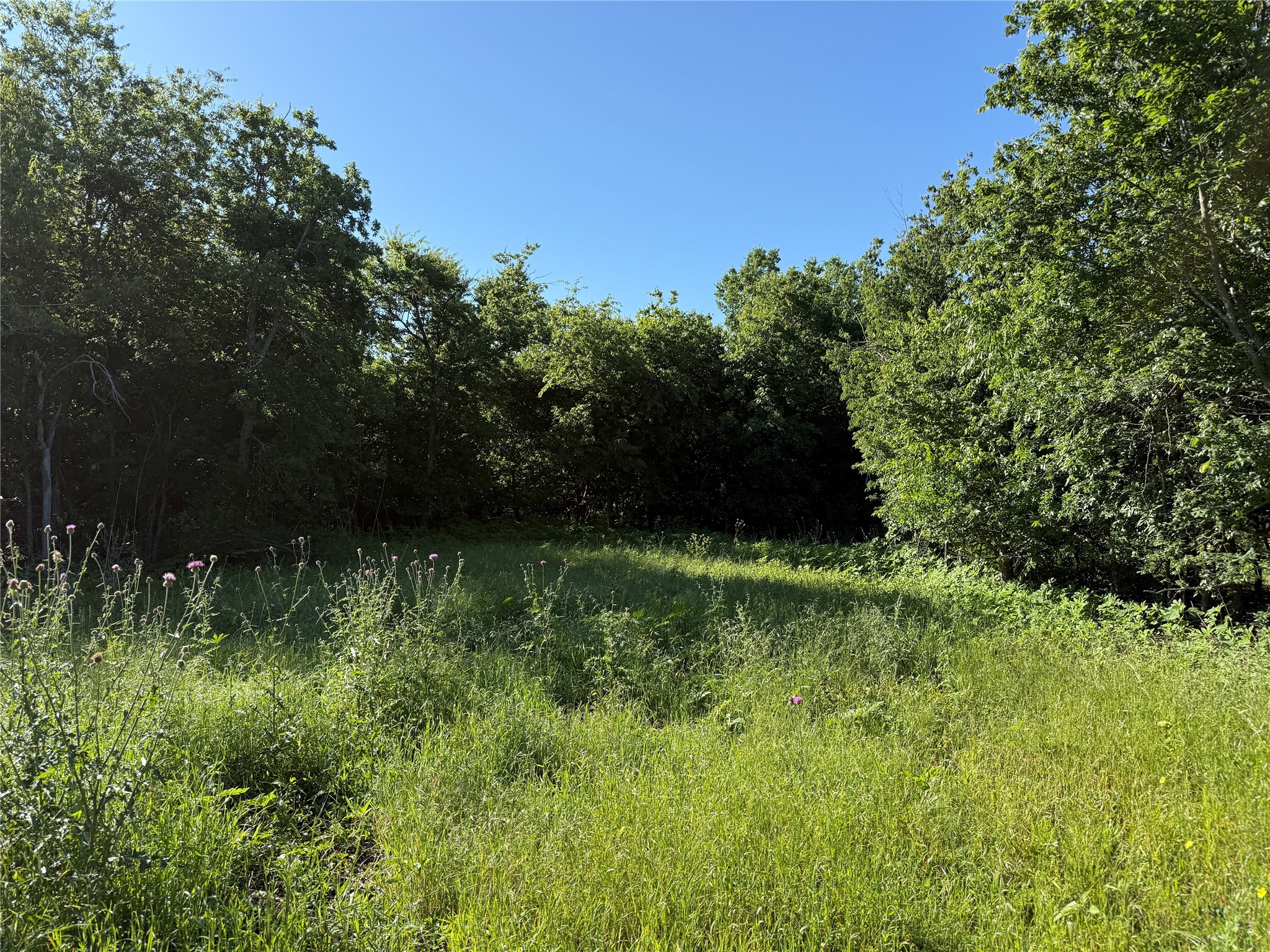 Tbd Hcr-1212 Blum TX 76627