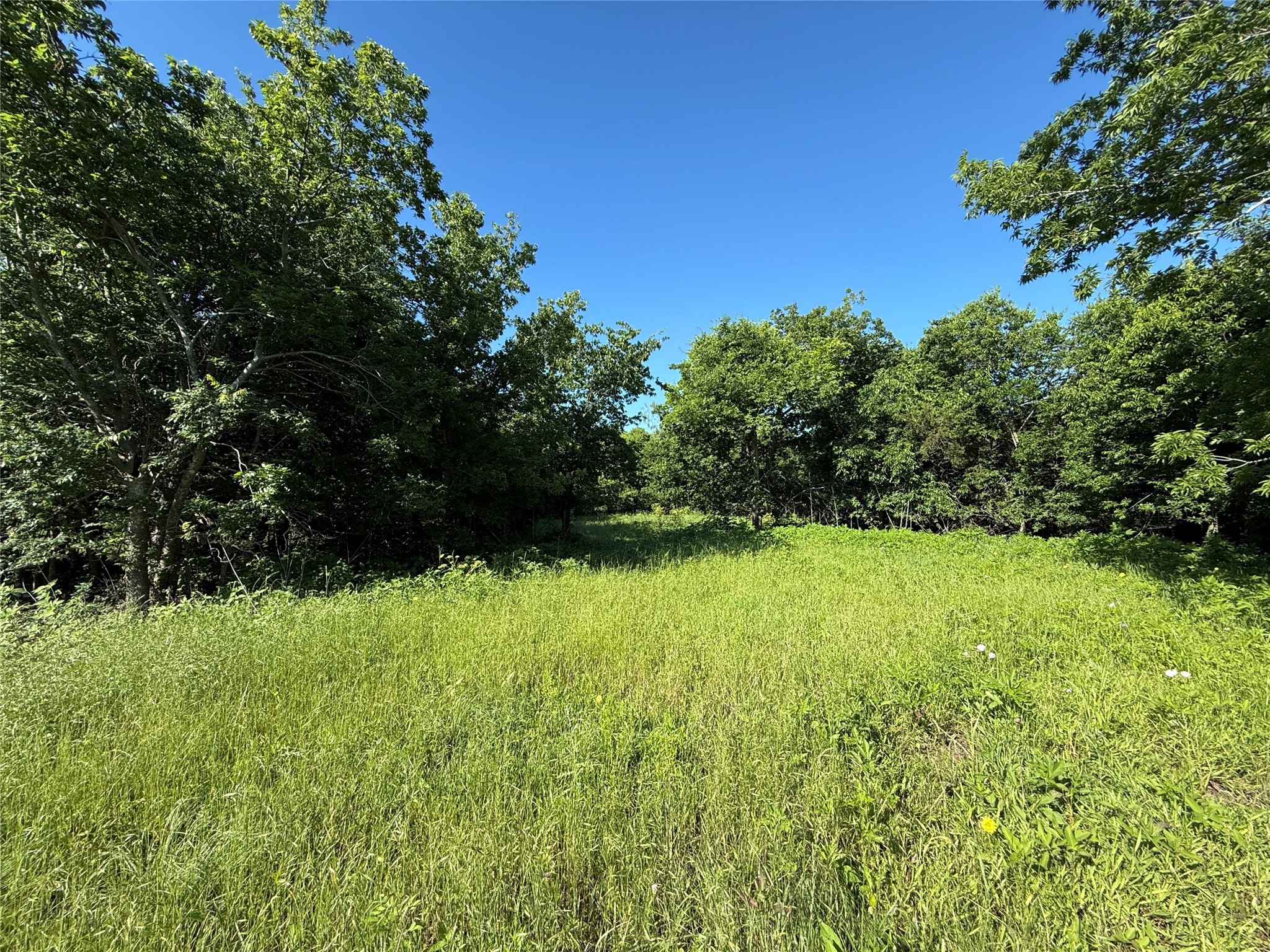 Tbd Hcr-1212 Blum TX 76627