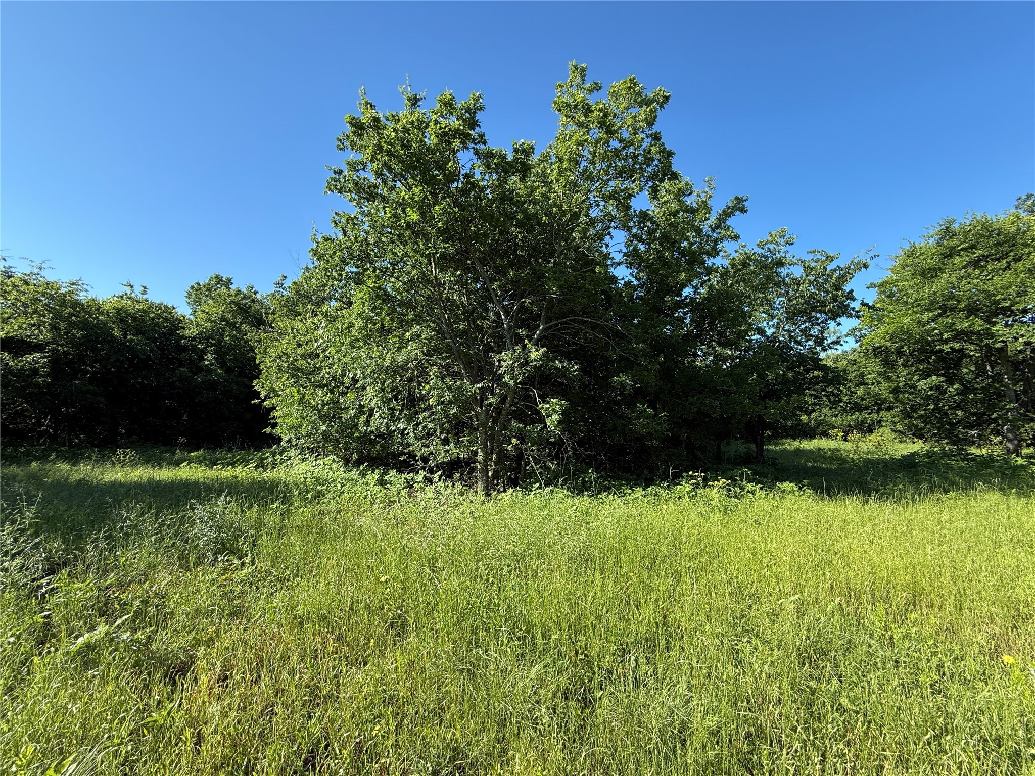 Tbd Hcr-1212 Blum TX 76627