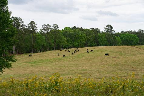 00 Tract 2 Cr 1615 Jacksonville TX 75766