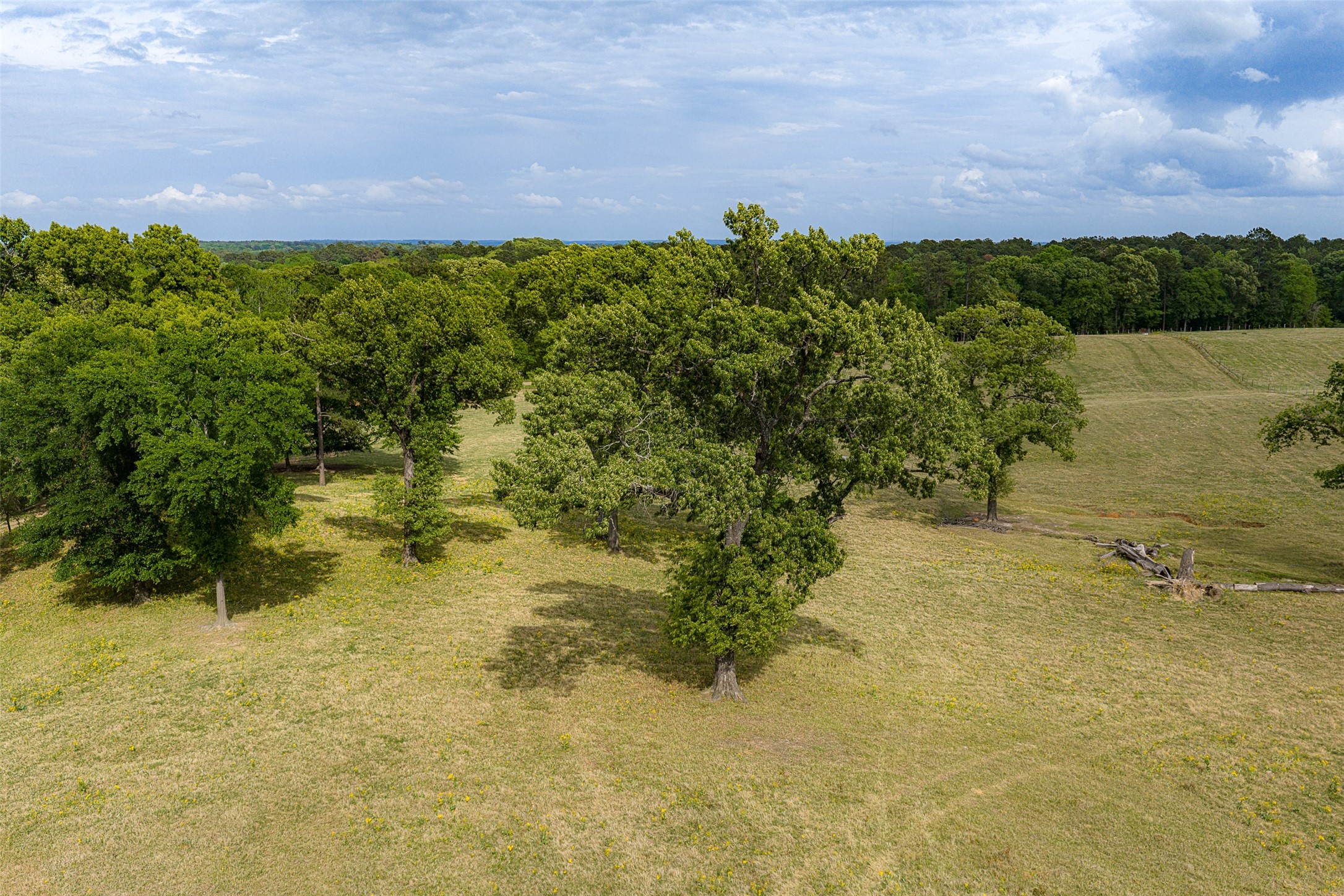 00 Tract 2 Cr 1615 Jacksonville TX 75766
