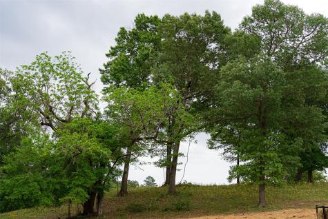 00 Tract 2 Cr 1615 Jacksonville TX 75766