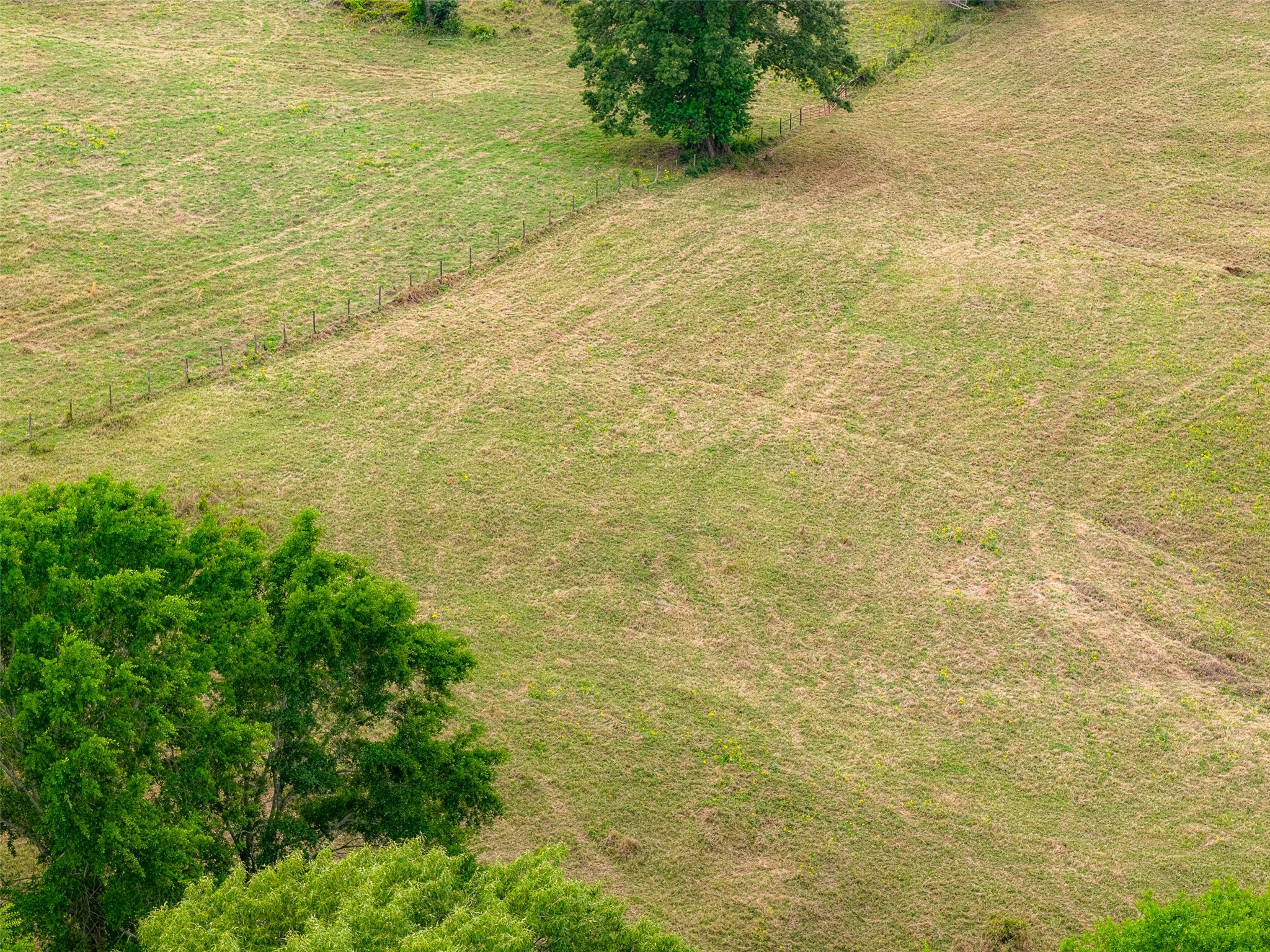 00 Tract 2 Cr 1615 Jacksonville TX 75766